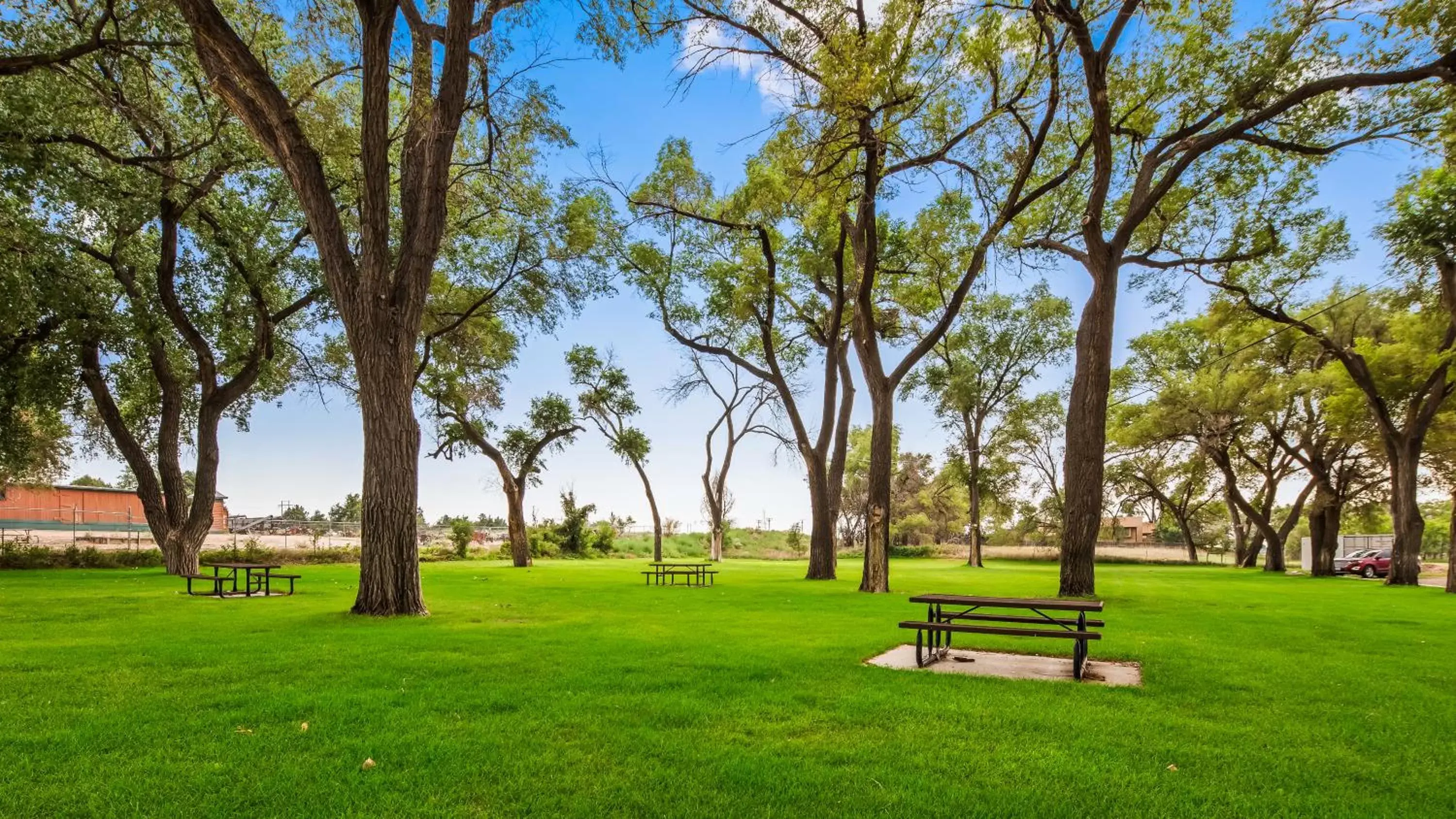 Activities, Garden in Best Western Sundowner