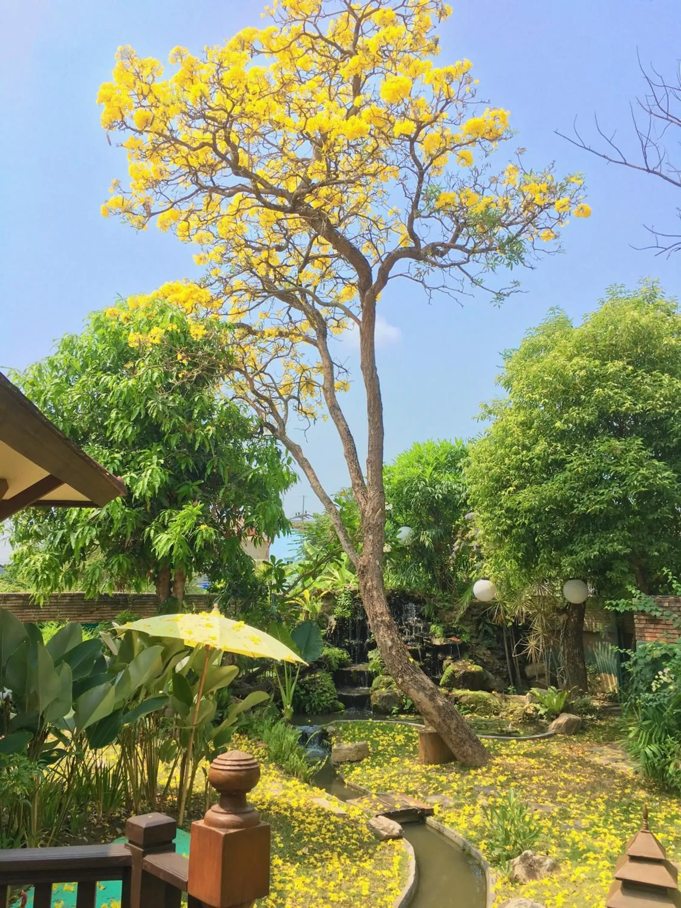 Garden in Oriental Siam Resort