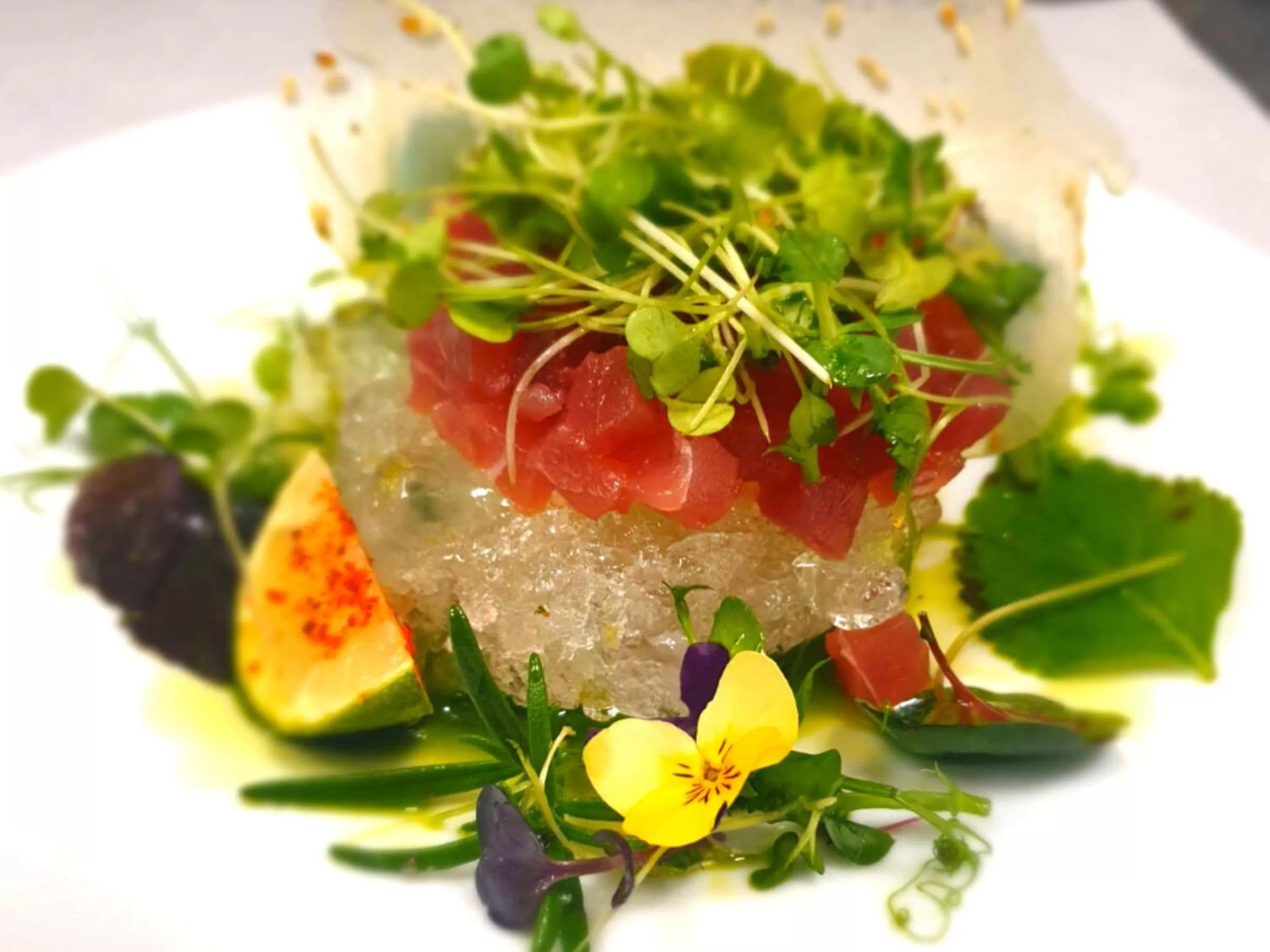 Restaurant/places to eat in Suter Palace Heritage Boutique Hotel