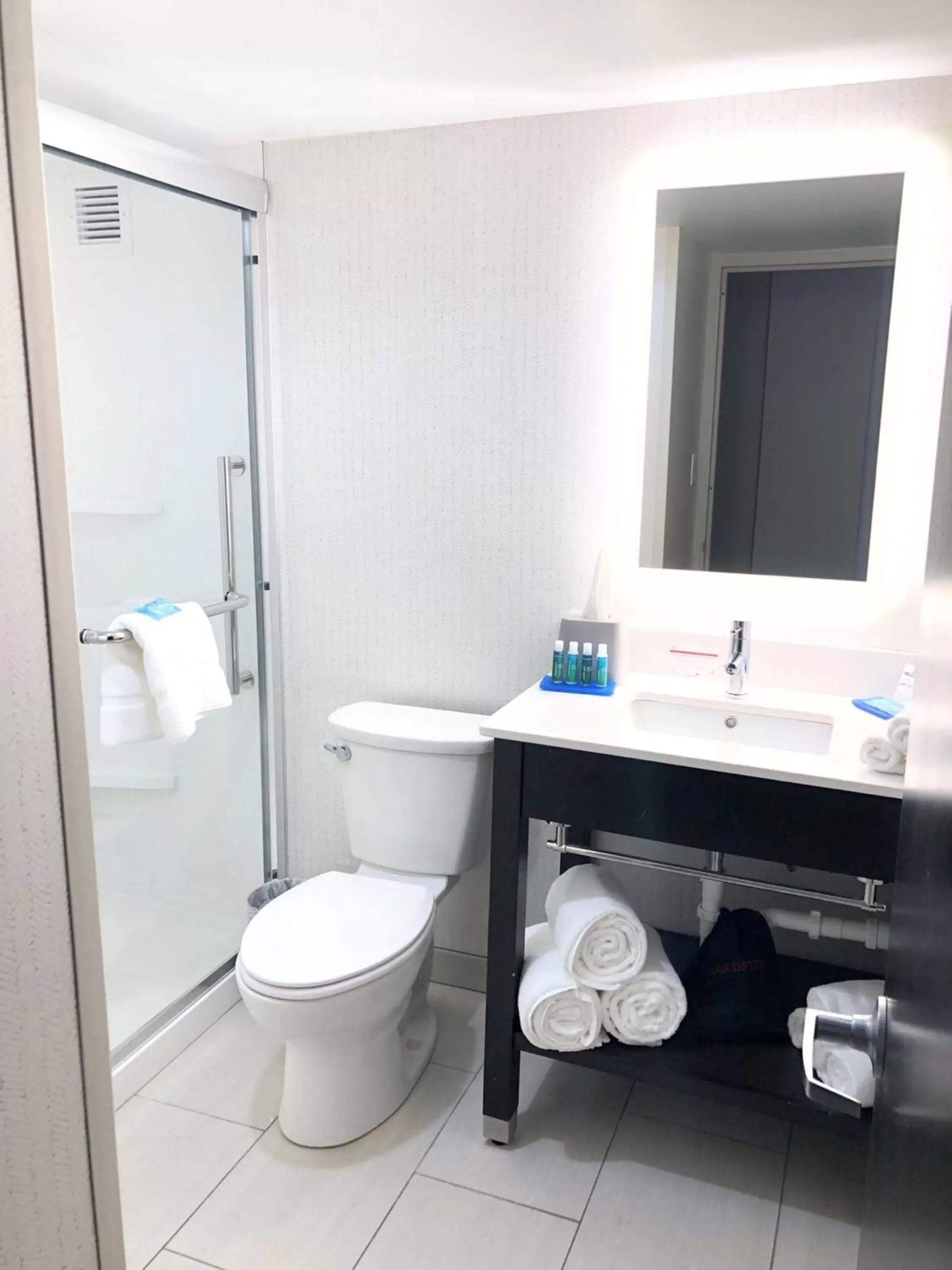 Photo of the whole room, Bathroom in Holiday Inn Express Richmond - Midtown, an IHG Hotel