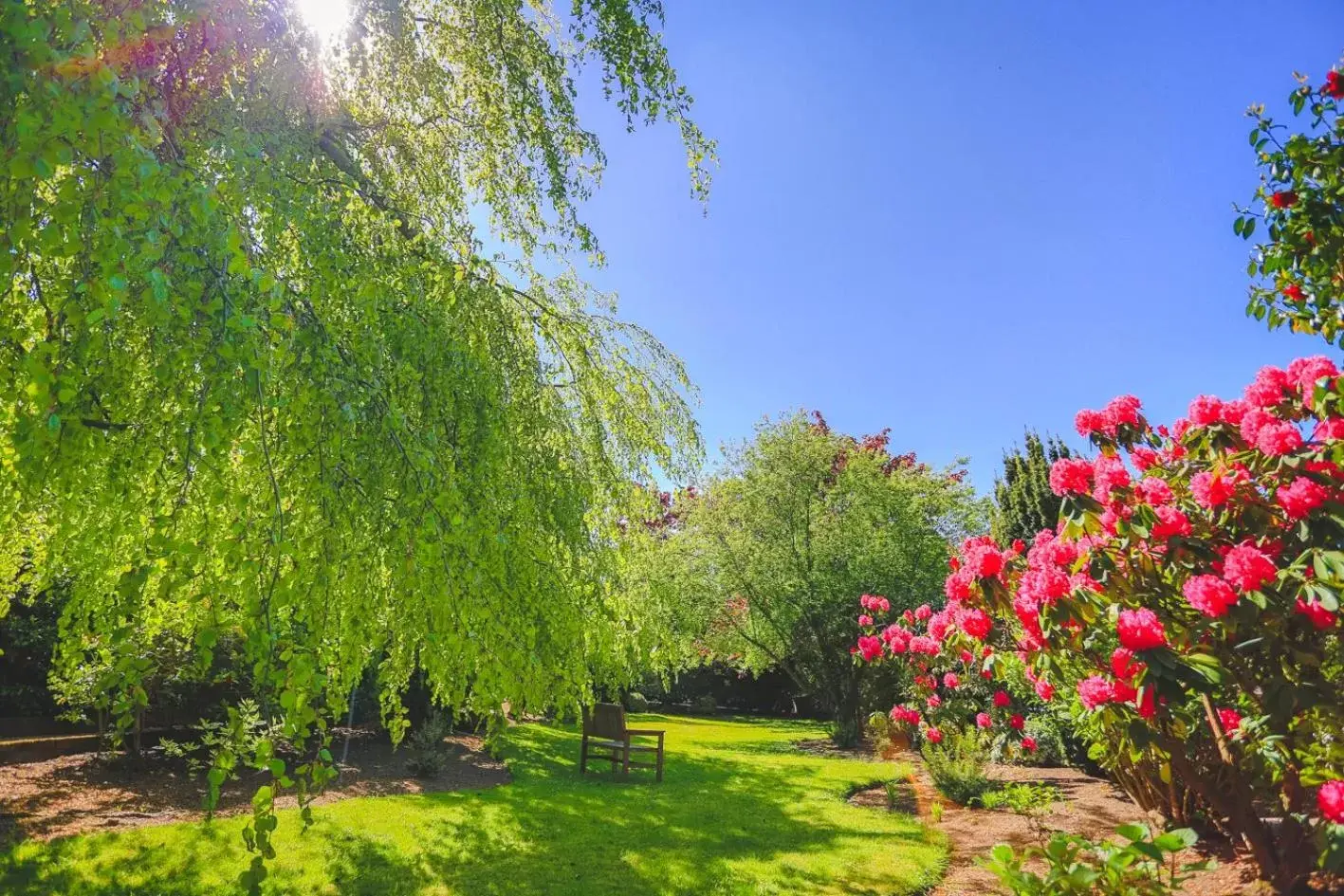 Garden in Diamond Hill Country House