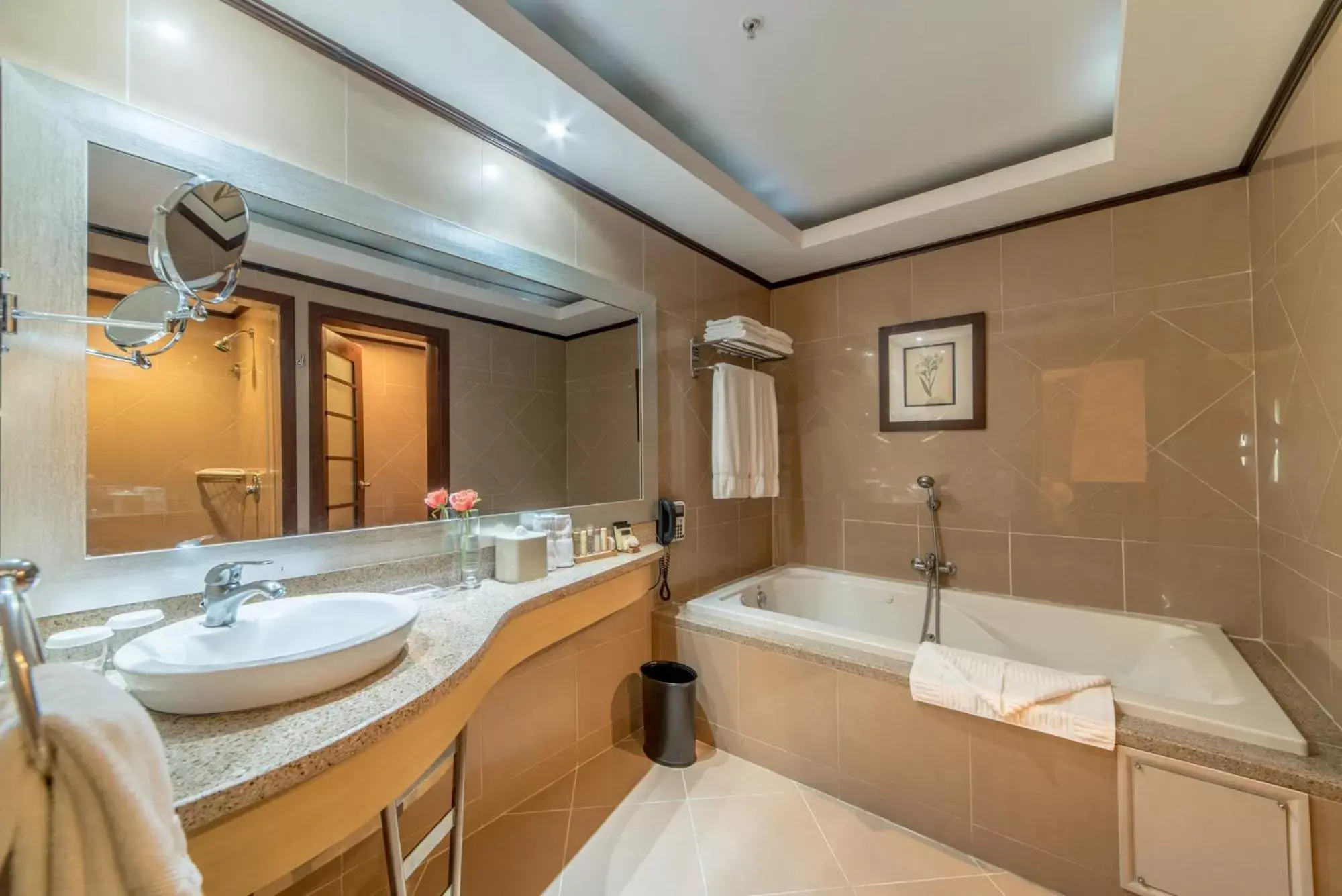 Hot Tub, Bathroom in Hodelpa Garden Court