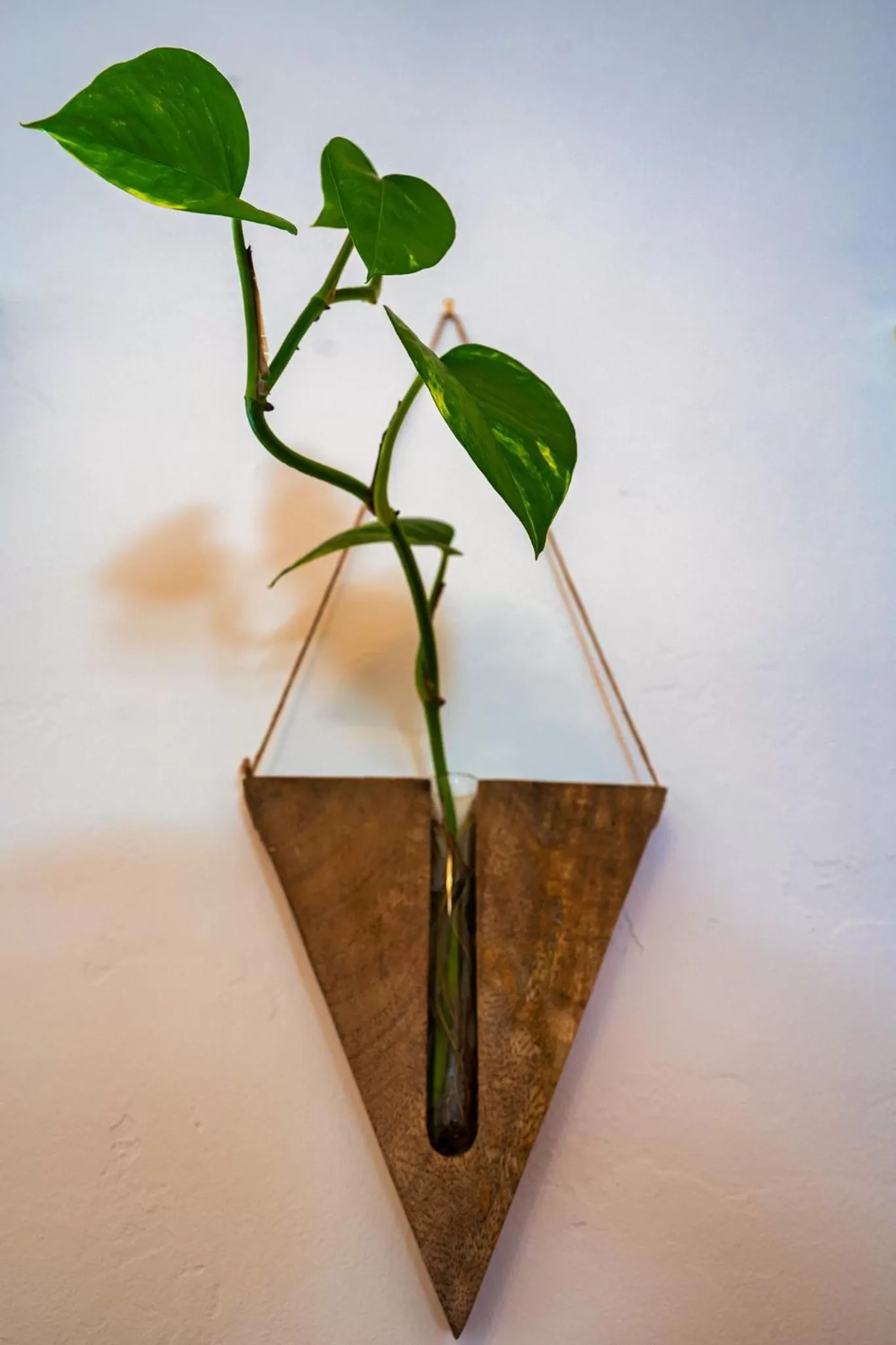 Deluxe King Room in The Loubird Inn