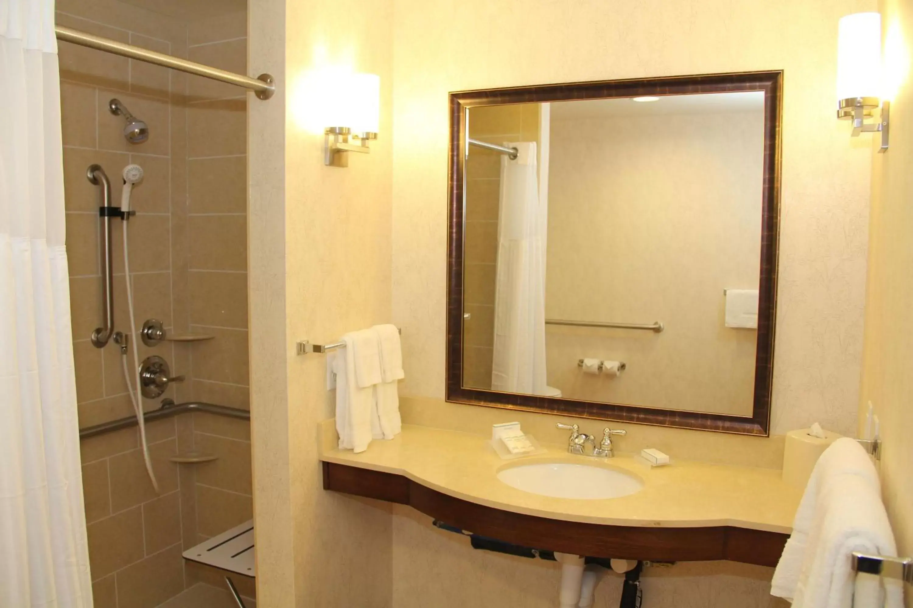 Bathroom in Hilton Garden Inn San Antonio/Rim Pass Drive