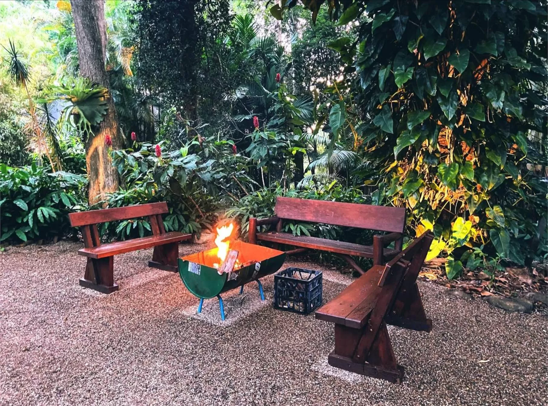 Garden in Taman Sari Sunshine Coast Romantic Pet-Friendly Hinterland Retreat