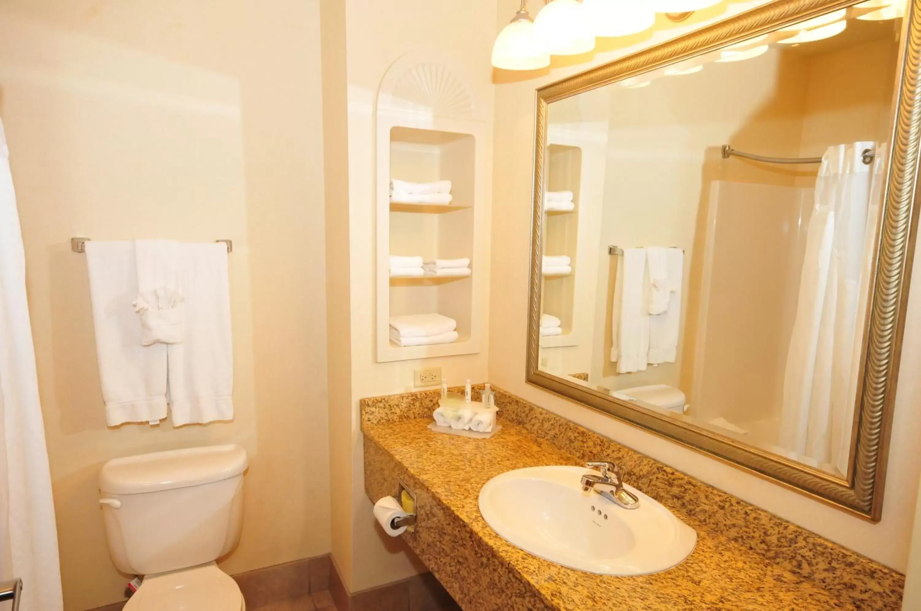Toilet, Bathroom in Holiday Inn Express Hotel & Suites Urbana-Champaign-U of I Area, an IHG Hotel