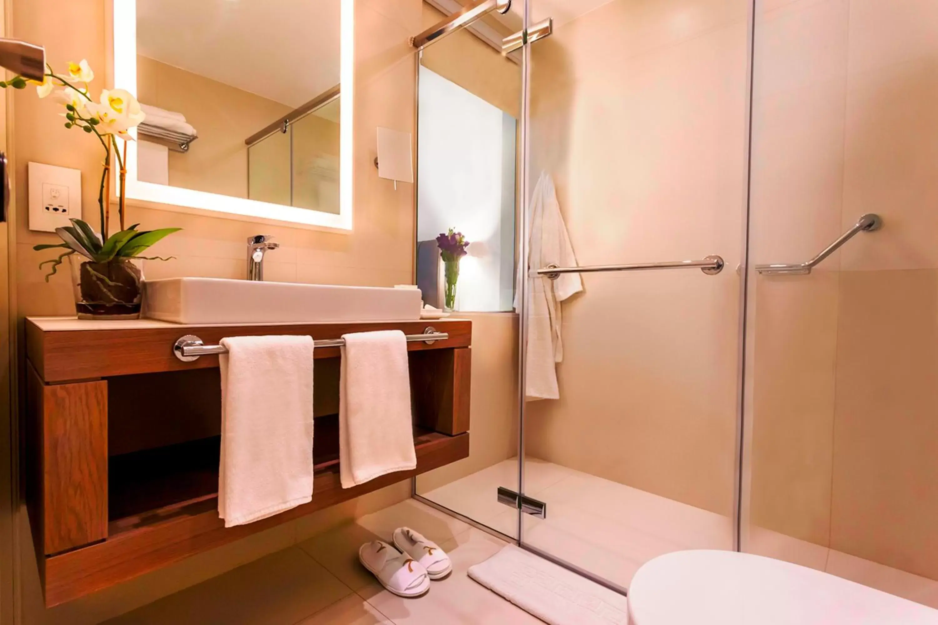 Shower, Bathroom in AlQasr Metropole Hotel