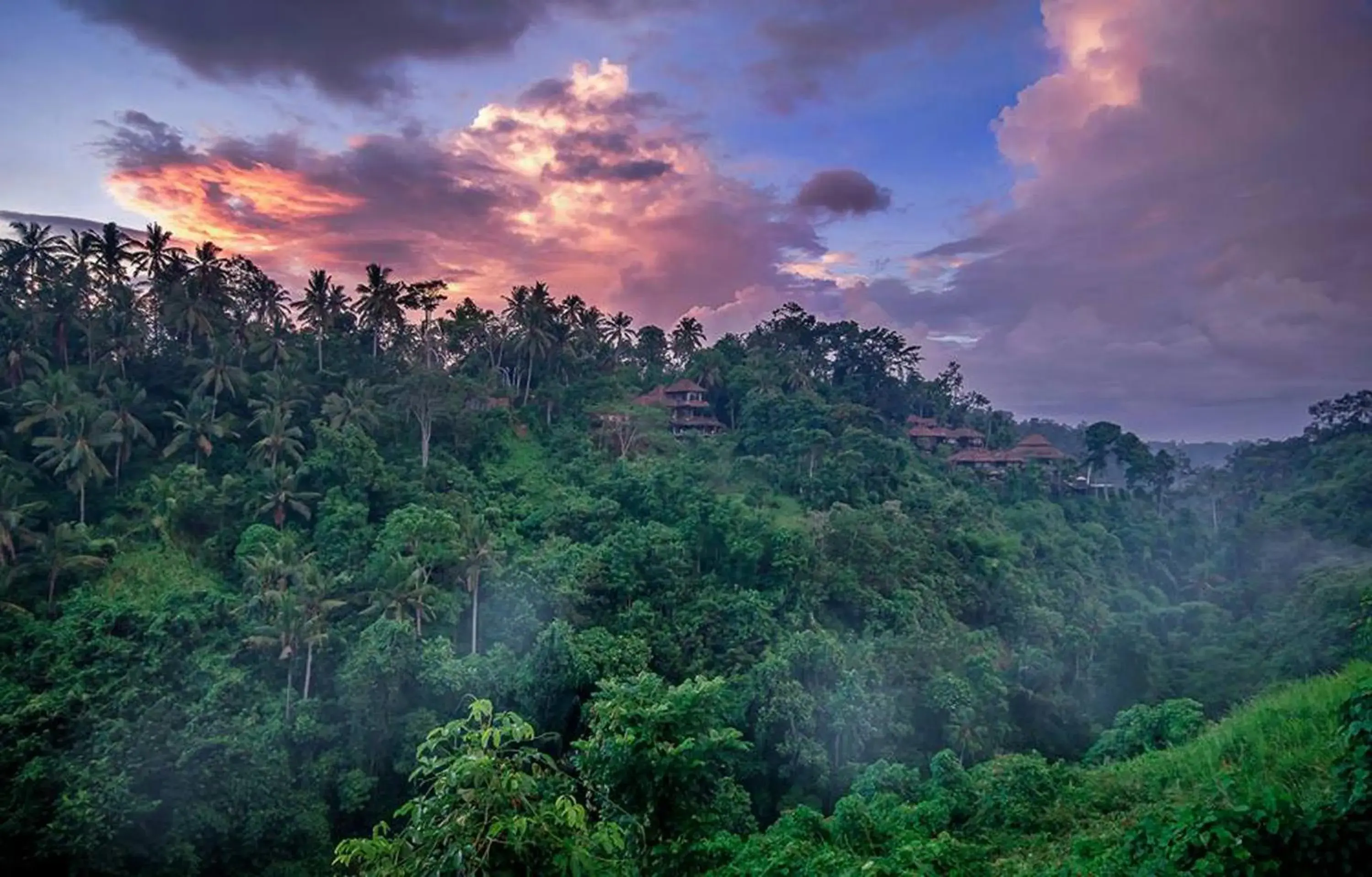 Natural Landscape in The Kayon Valley Resort