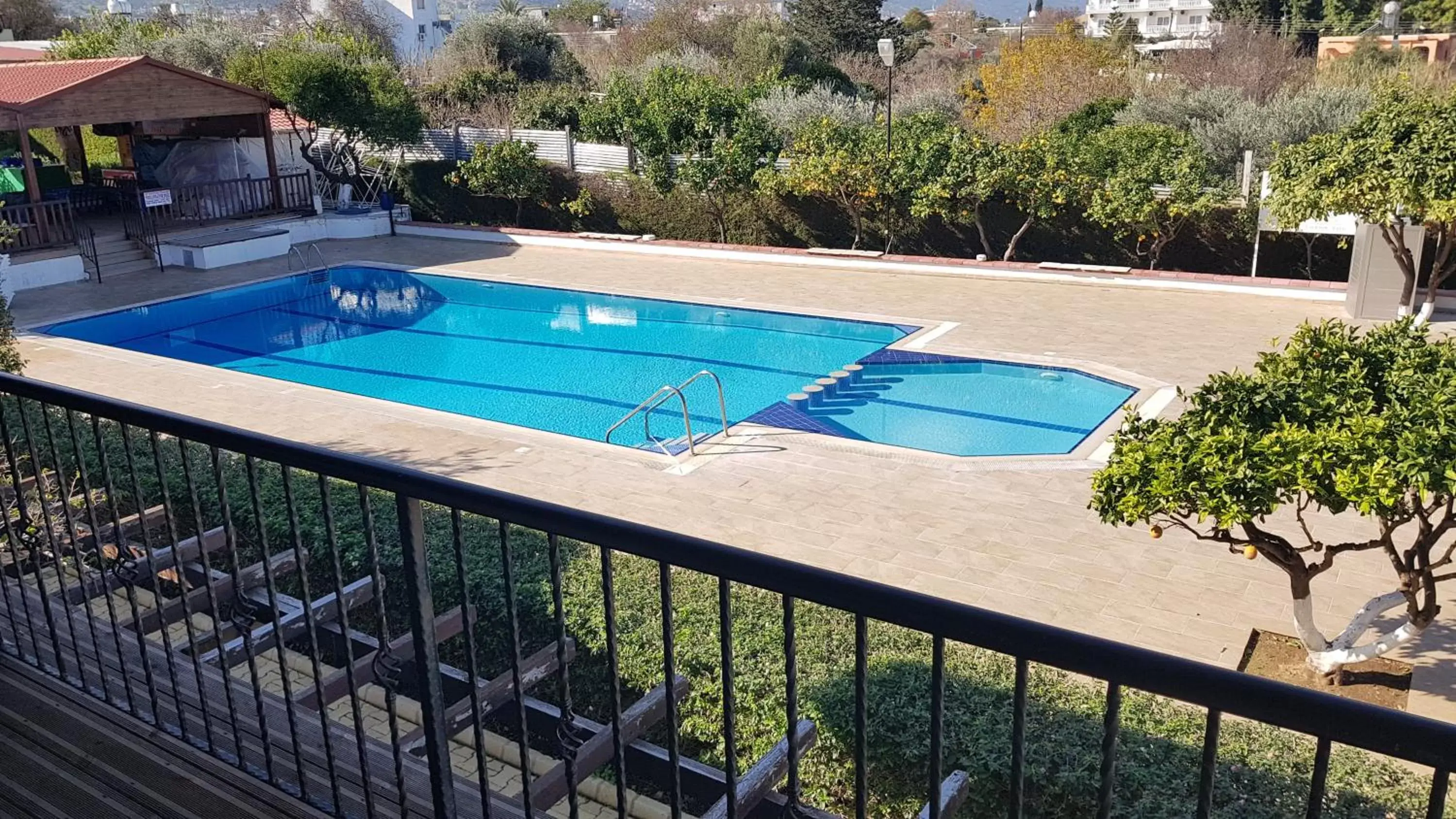 Pool View in Citrus Tree Gardens