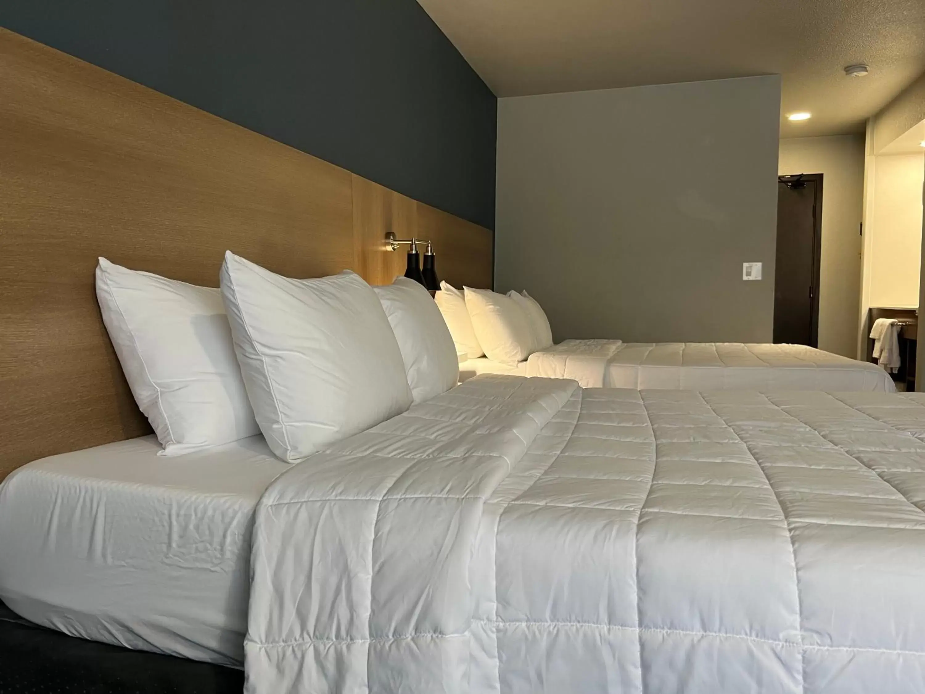 Bedroom, Bed in Quality Inn Portland Airport PDX Bedroom, Bed in Quality Inn Portland Airport PDX