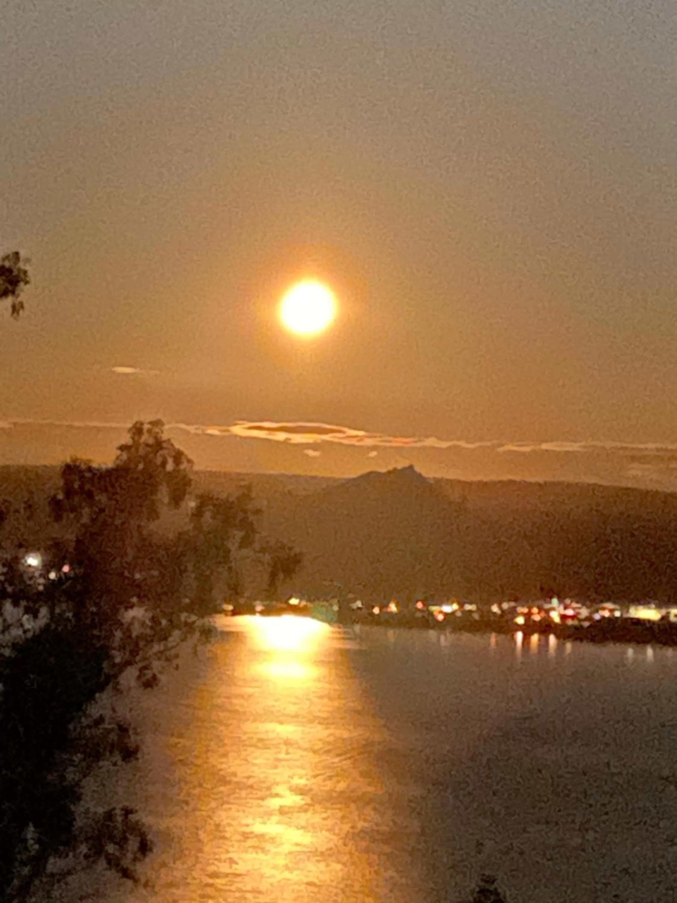 Spring in Acacia Cliffs Lodge