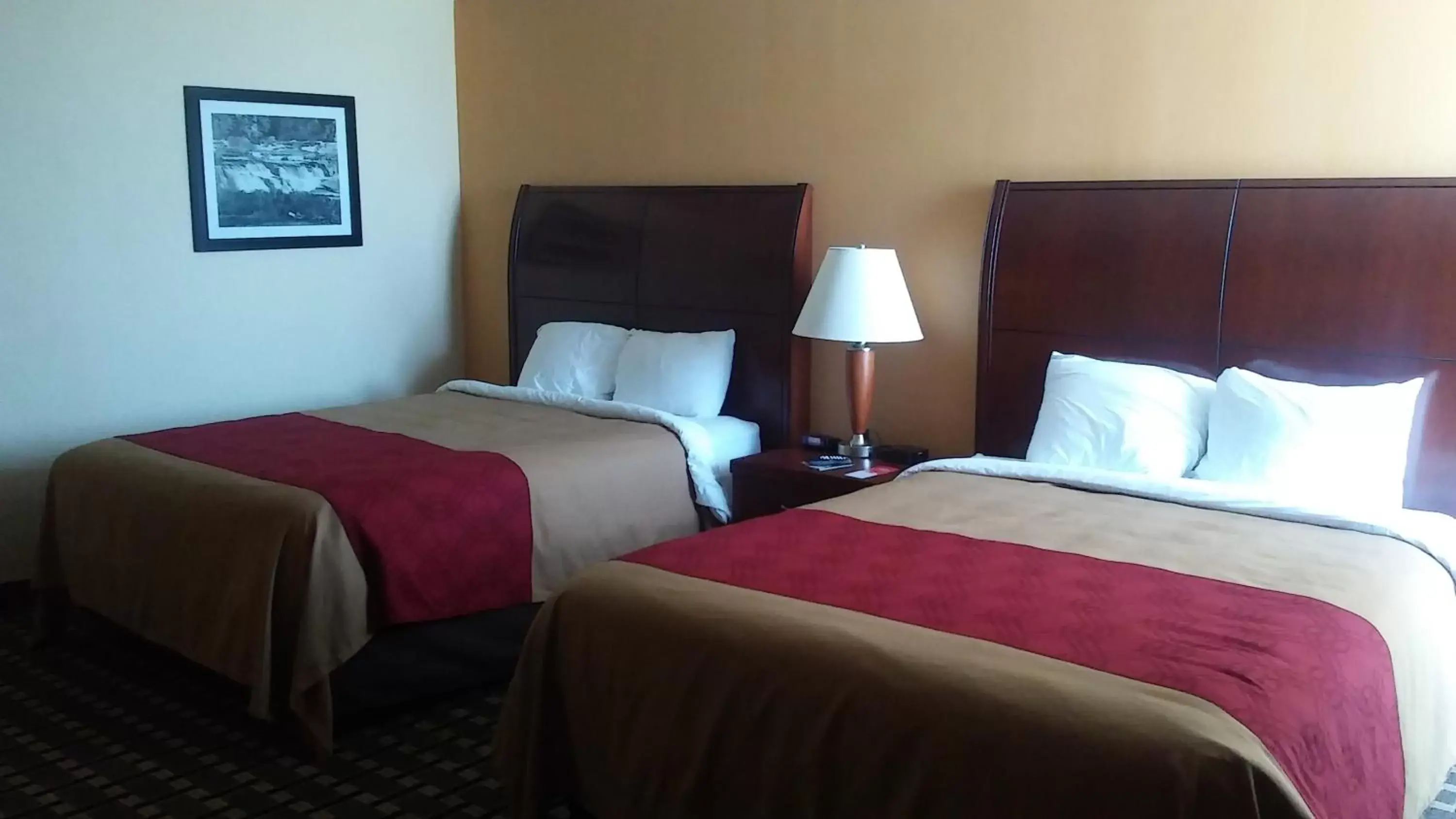 Bed in Econo Lodge Inn & Suites Brookings