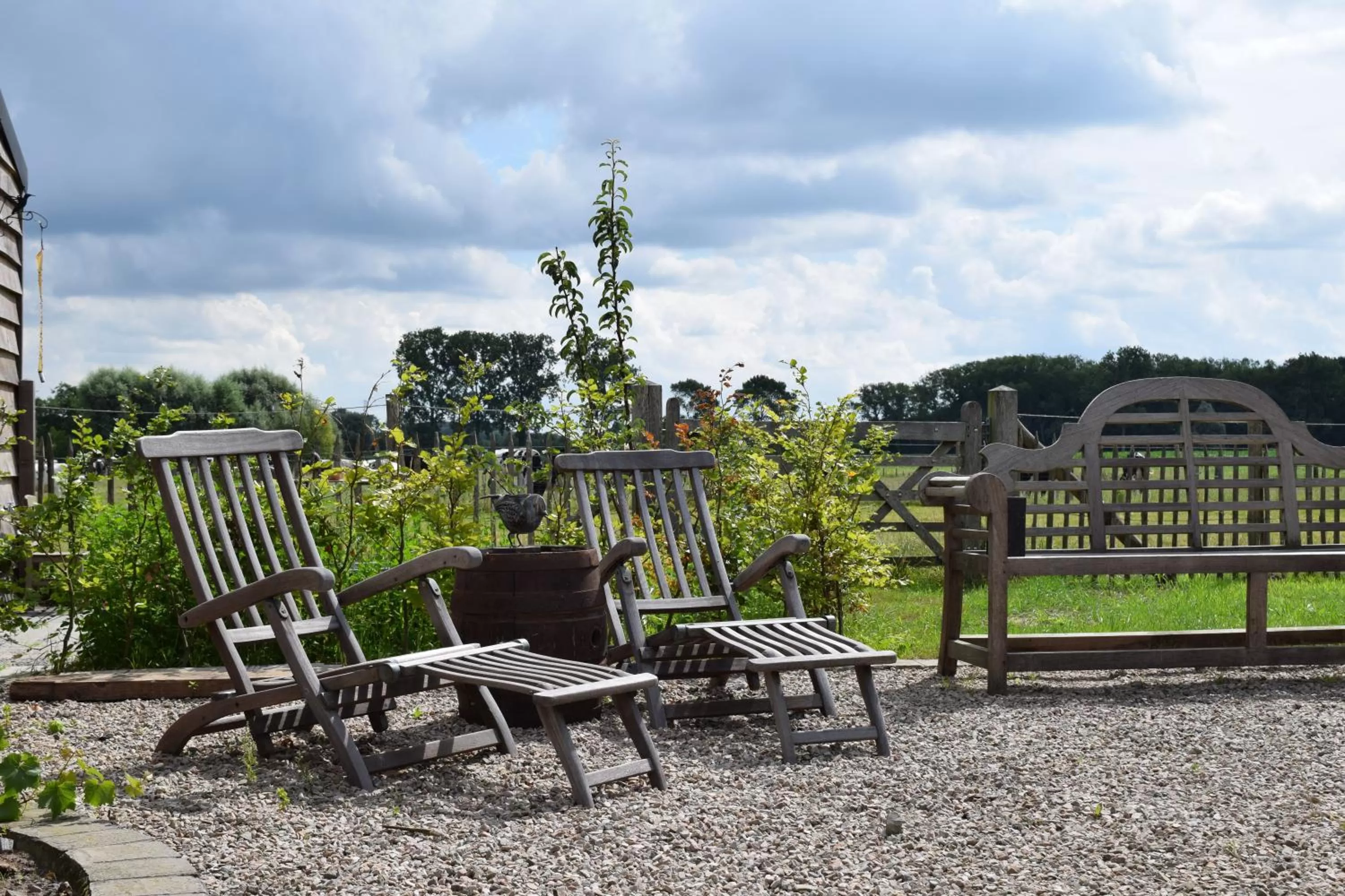 Garden in B&B De Vossenbarm