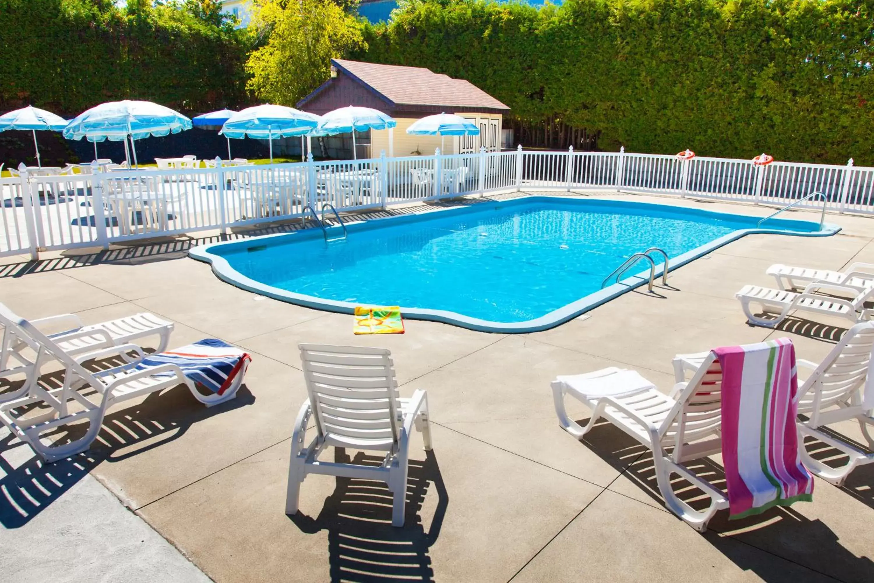 Swimming Pool in Hôtel Le Floral