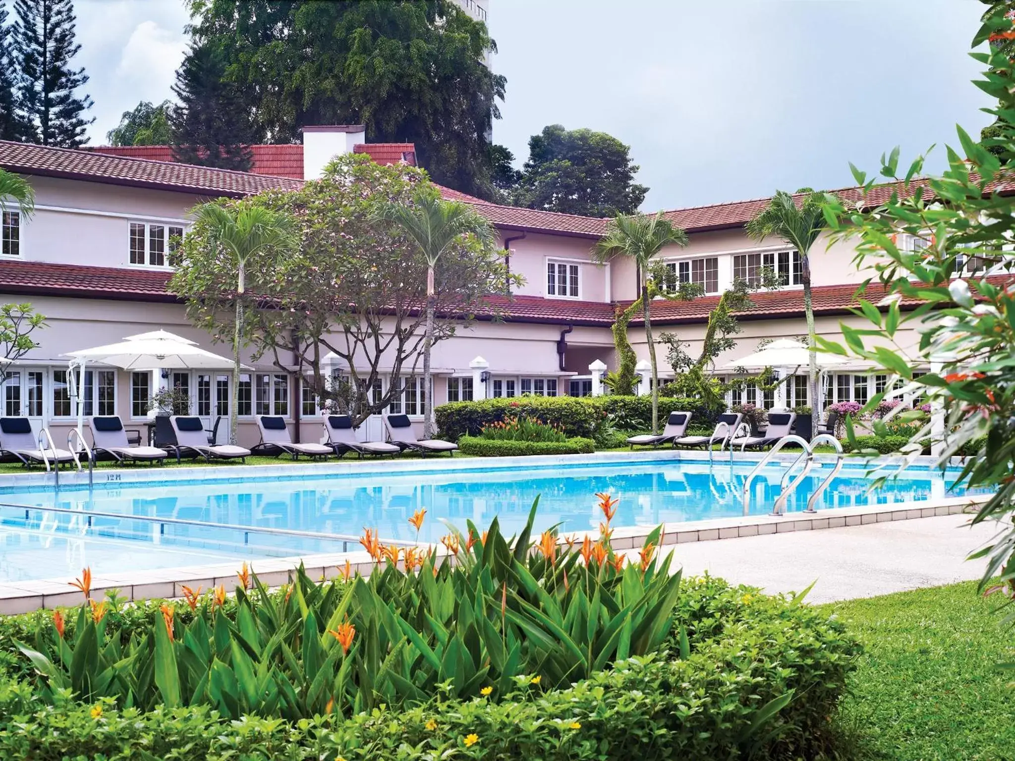 Swimming Pool in Goodwood Park Hotel