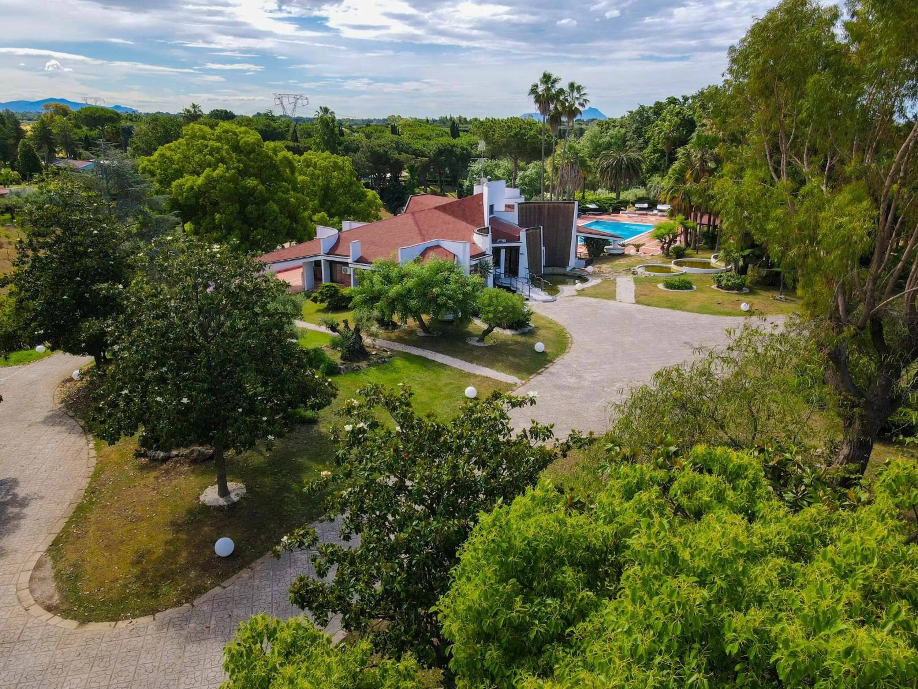 Bird's-eye View in paradise suite