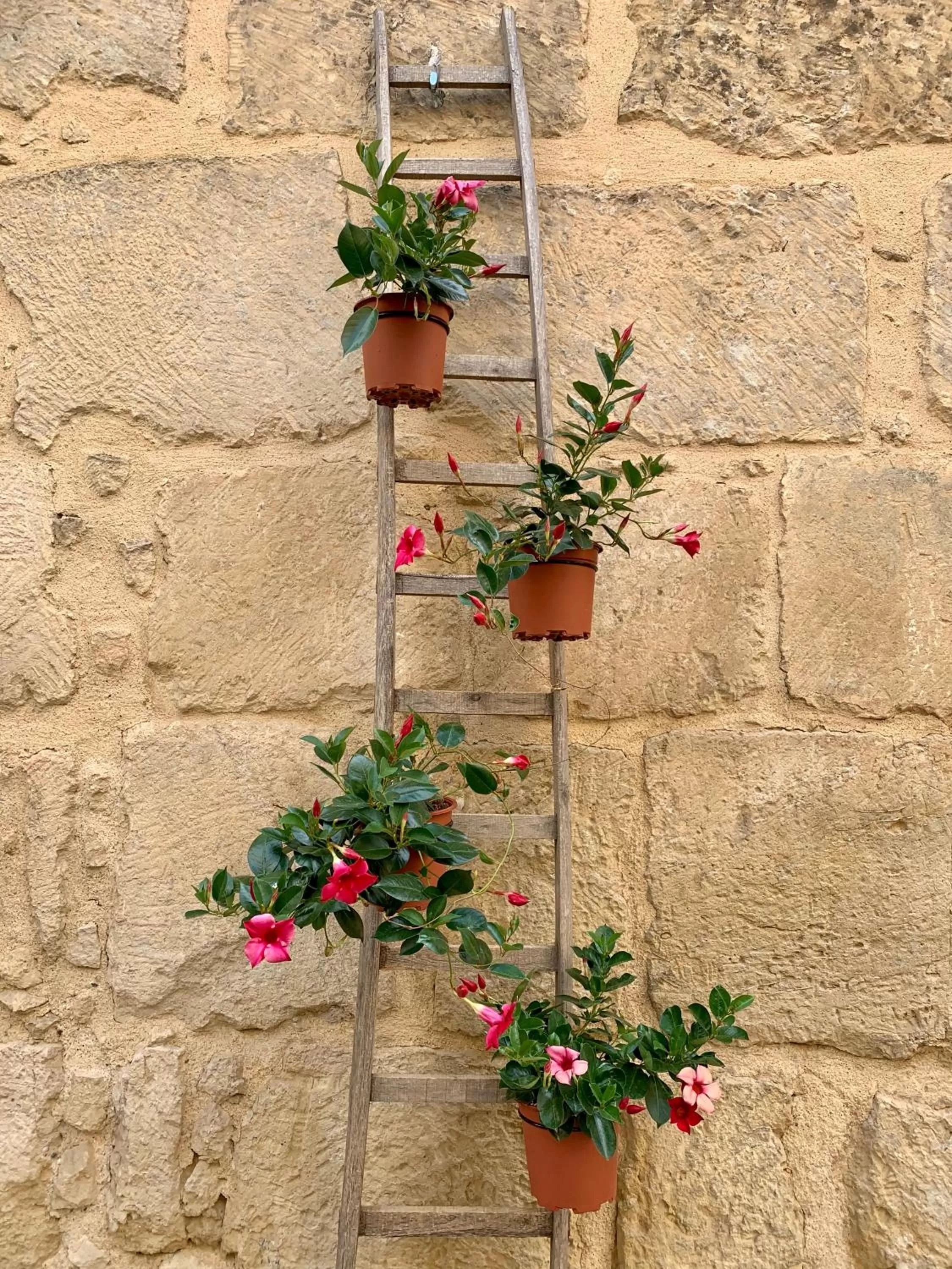 Decorative detail in Bianko EcoChic & L'Angolo di Levante