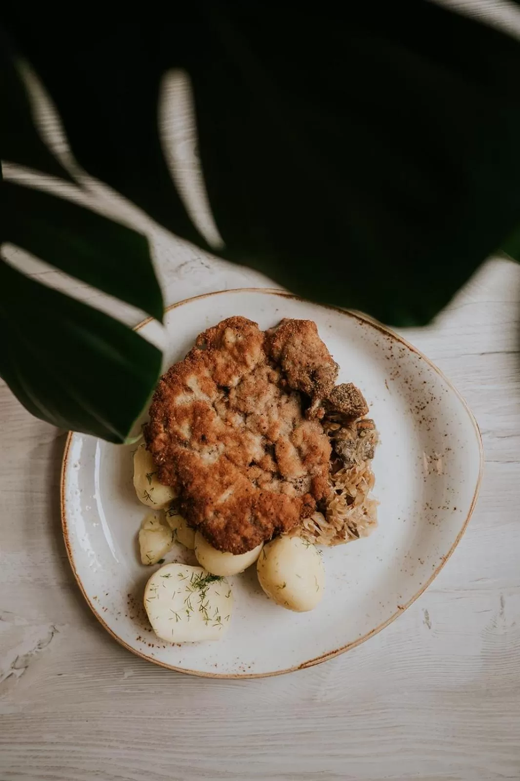 Food in Hotel Garden