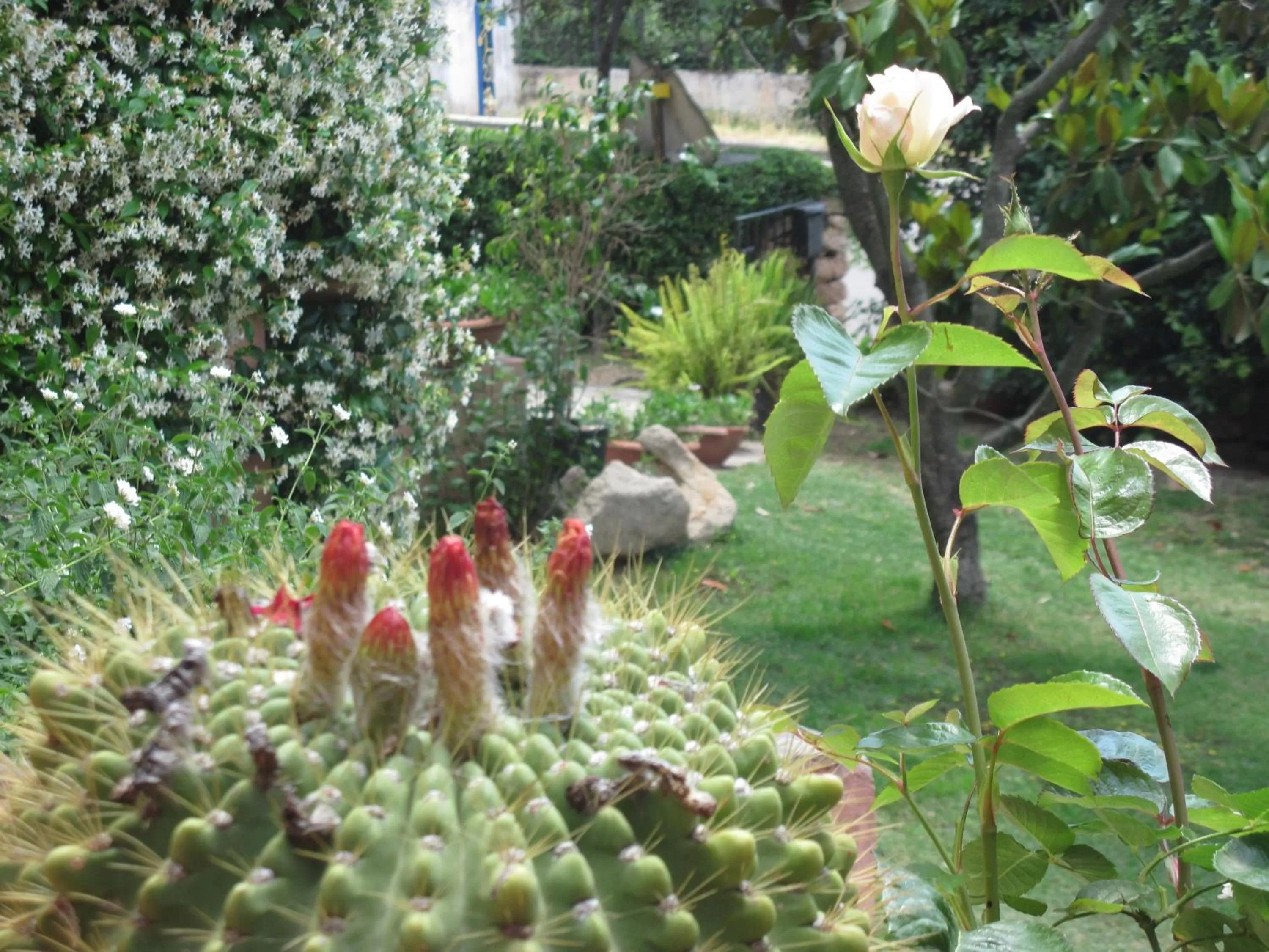 Day, Garden in Bed & Breakfast Dessole