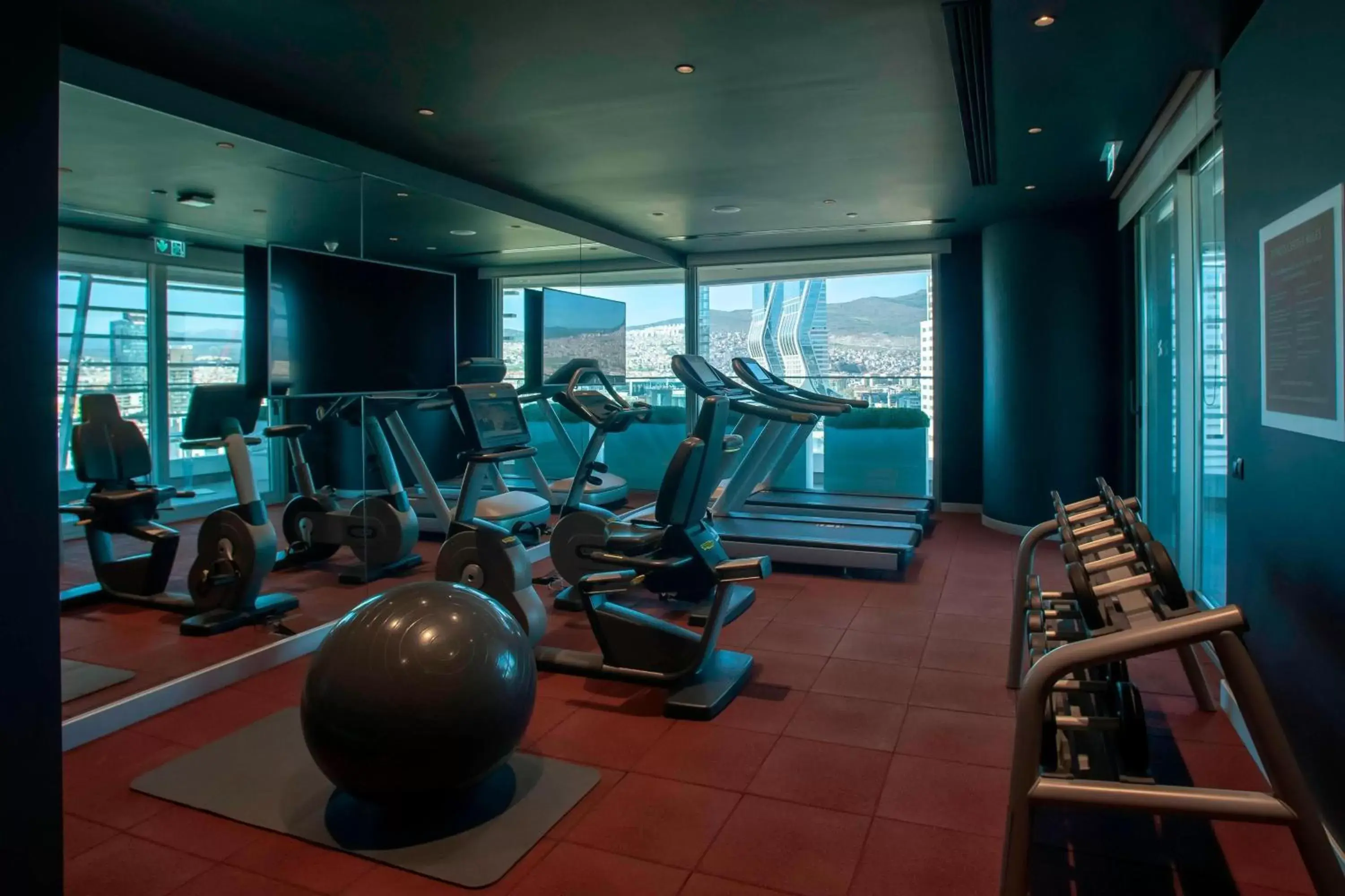 Fitness centre/facilities, Fitness Center/Facilities in Four Points by Sheraton Izmir