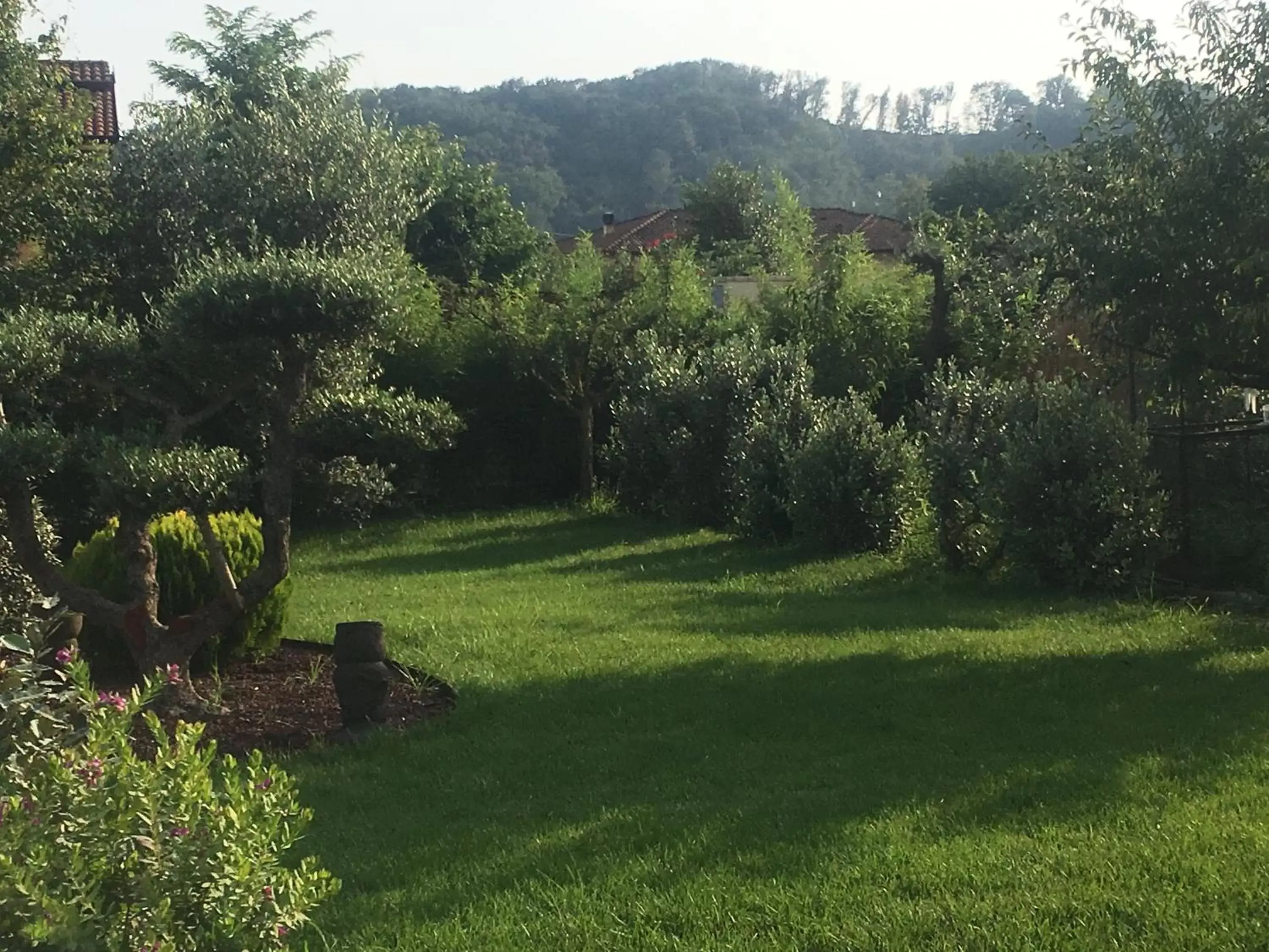 Day, Garden in Le Ginestre