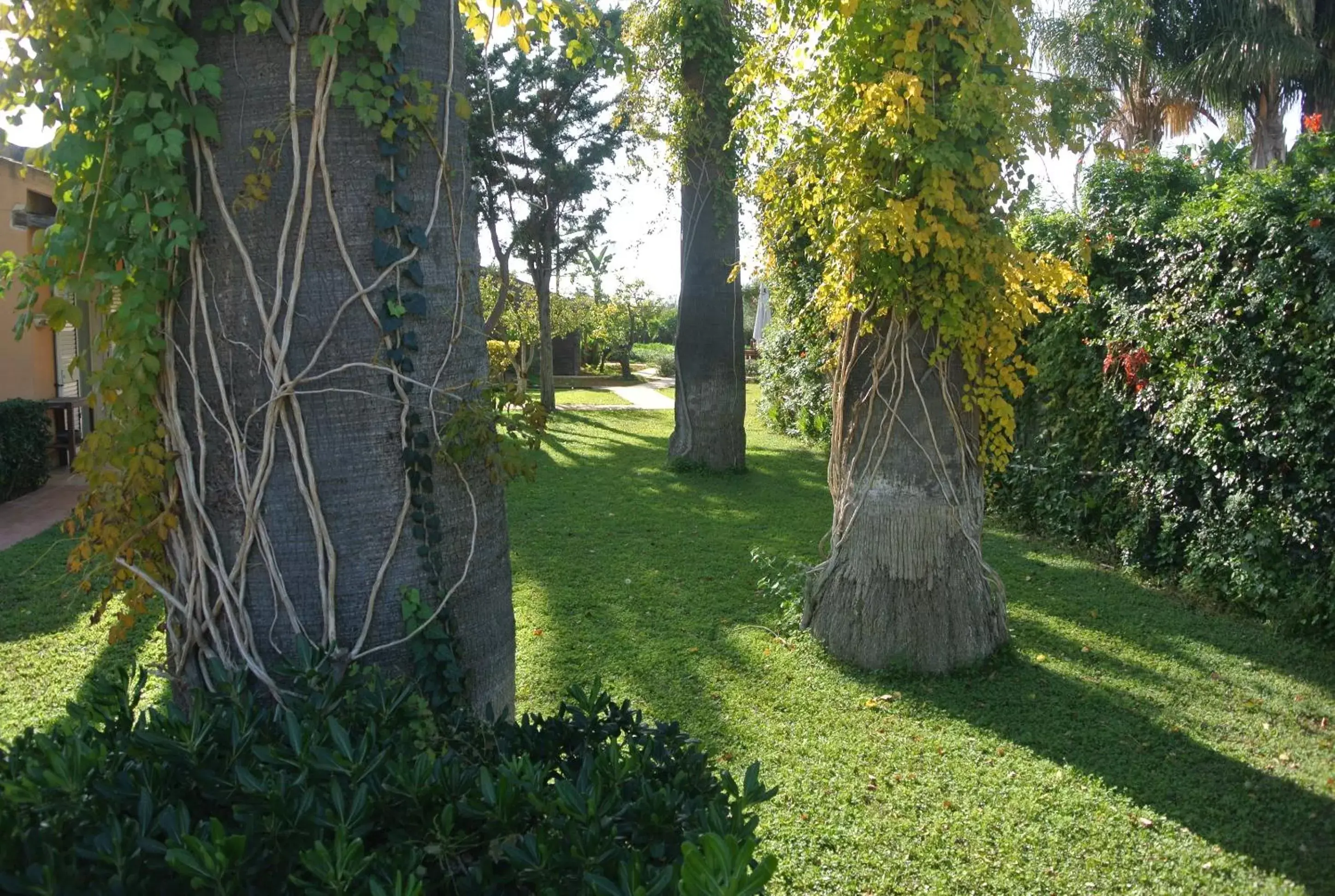 Day, Garden in Villa Carlotta Resort