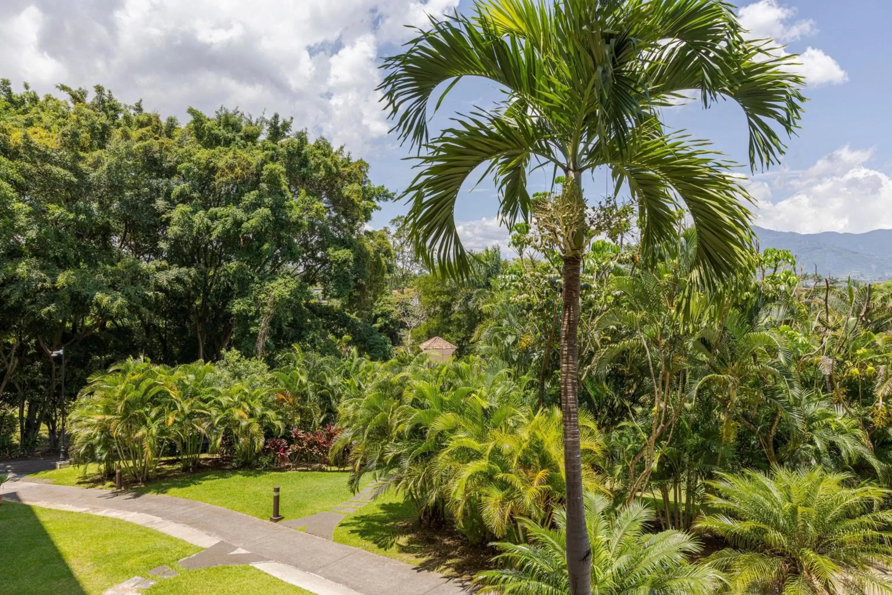 Photo of the whole room in Costa Rica Marriott Hotel Hacienda Belen