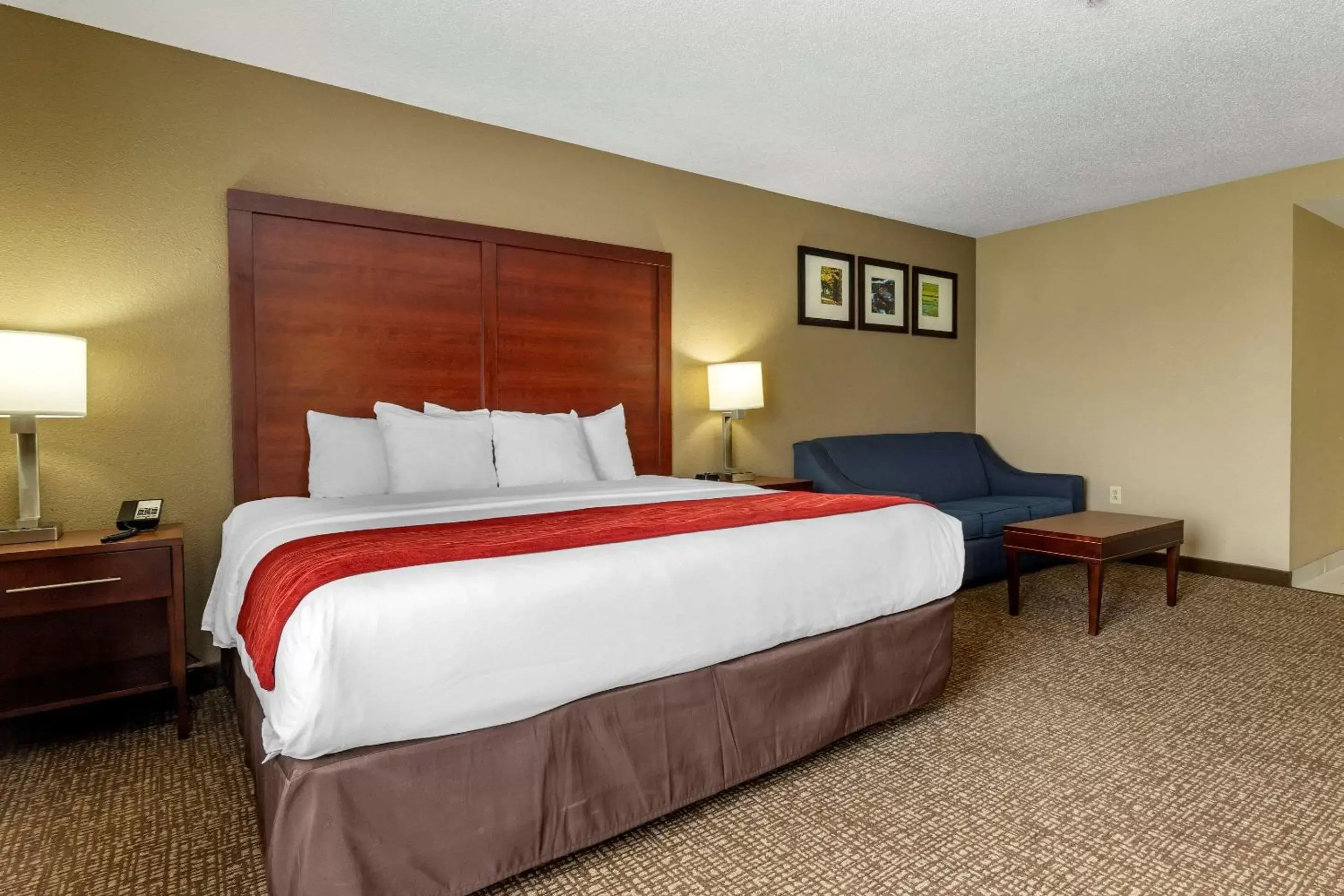 Photo of the whole room, Bed in Comfort Inn & Suites Mocksville I-40