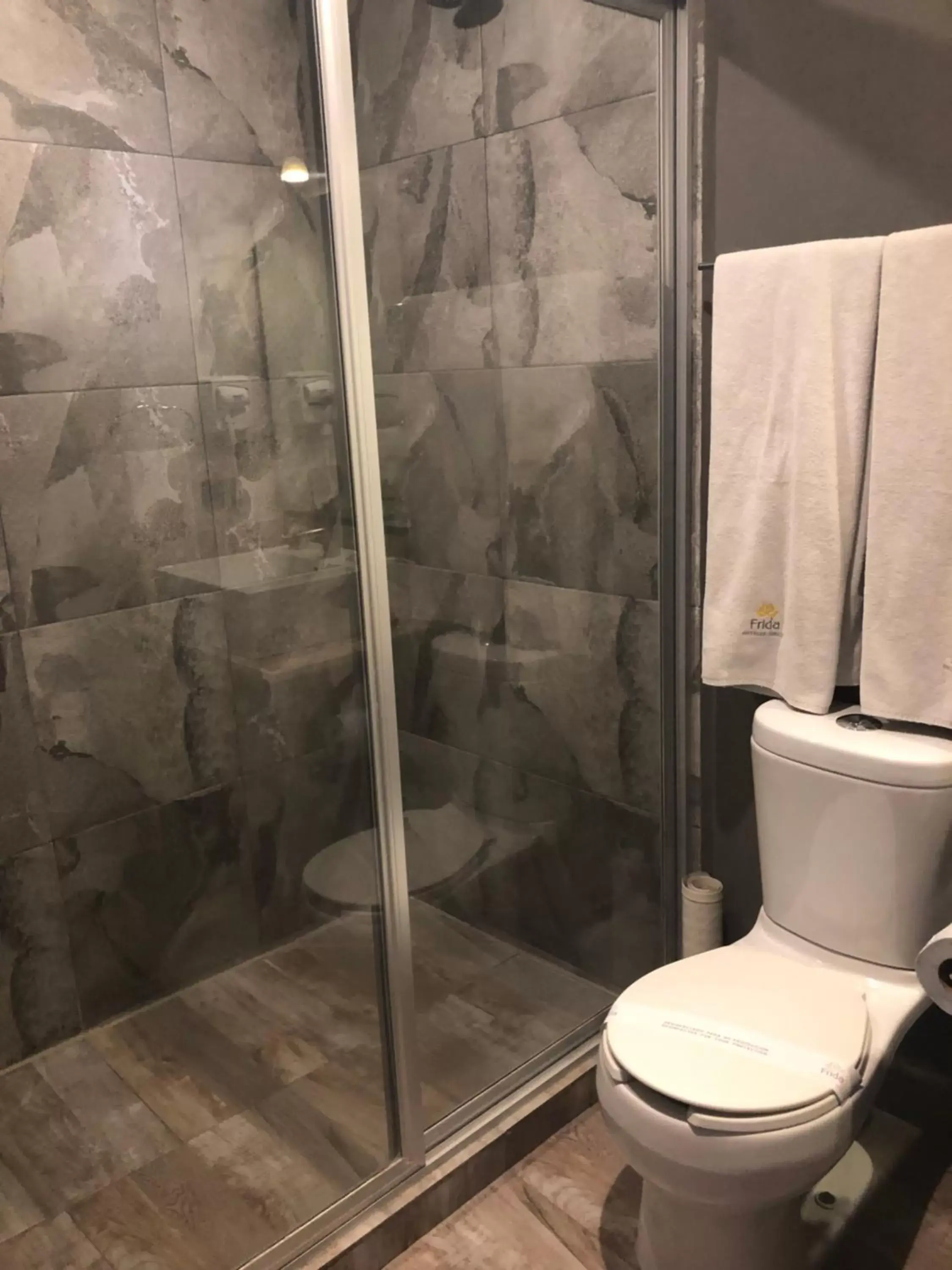 Bathroom in Hotel Frida