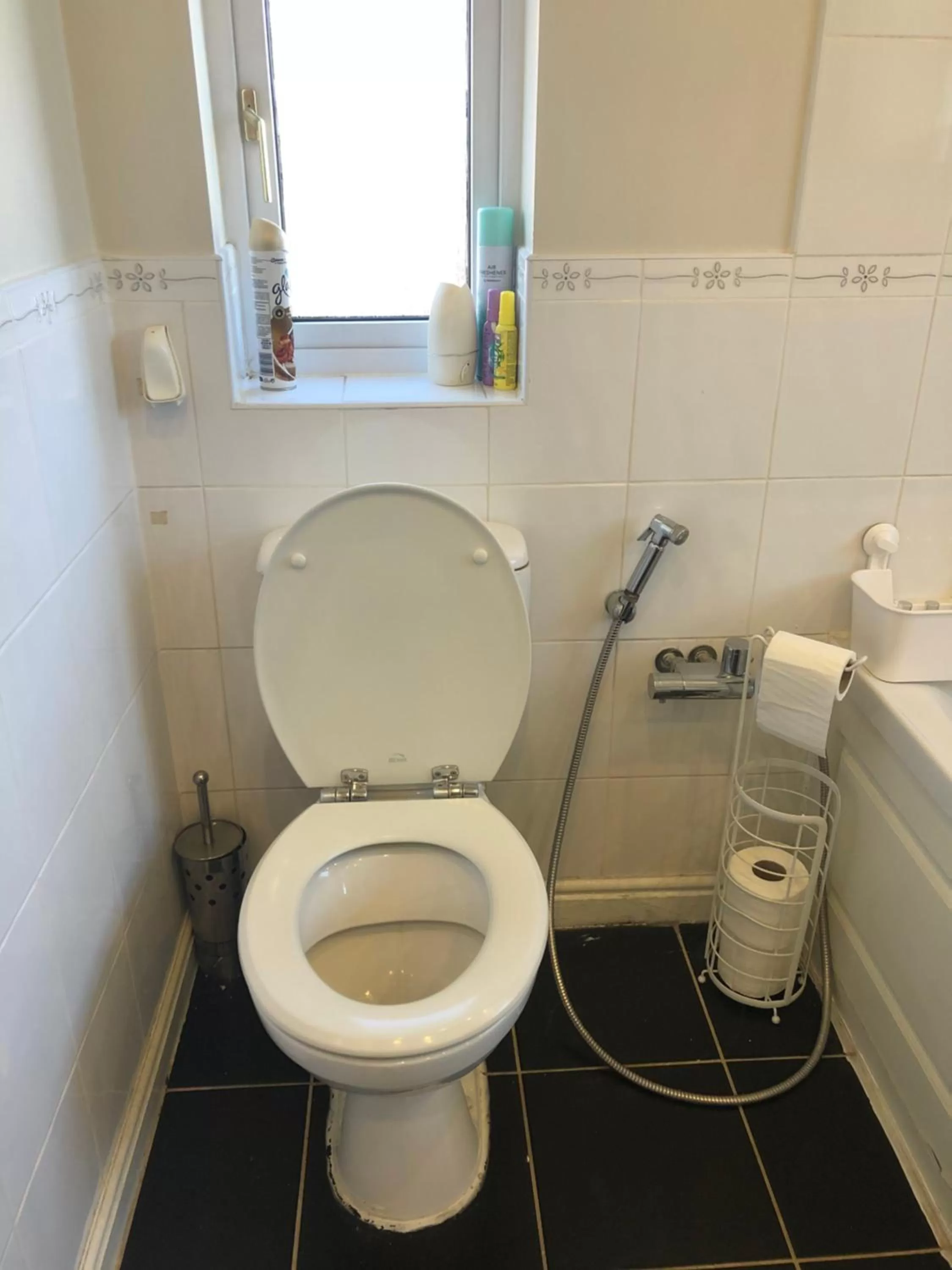 Toilet in Lyndon B&B