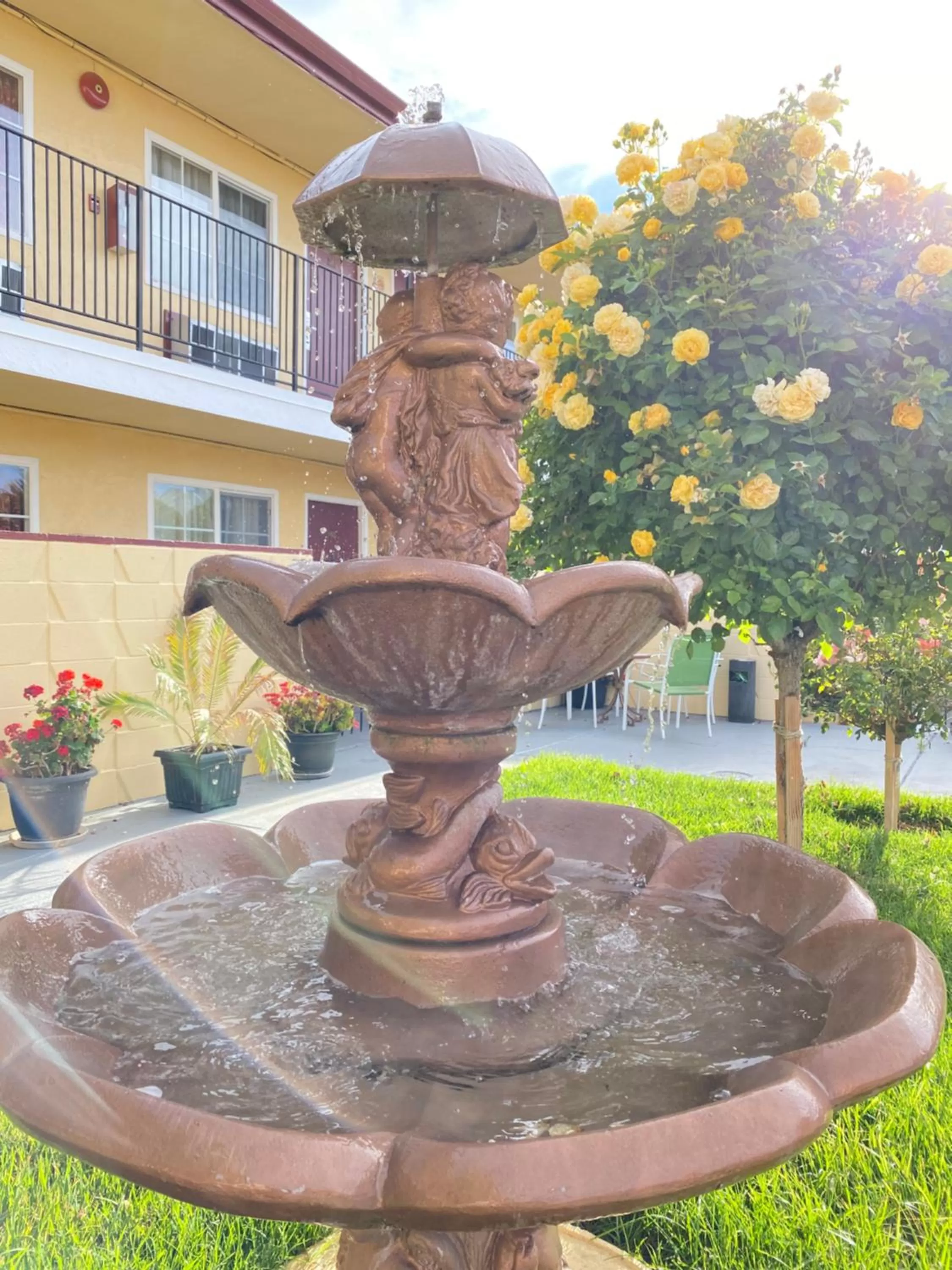 Garden in Motel 7 - Near Six Flags, Vallejo - Napa Valley