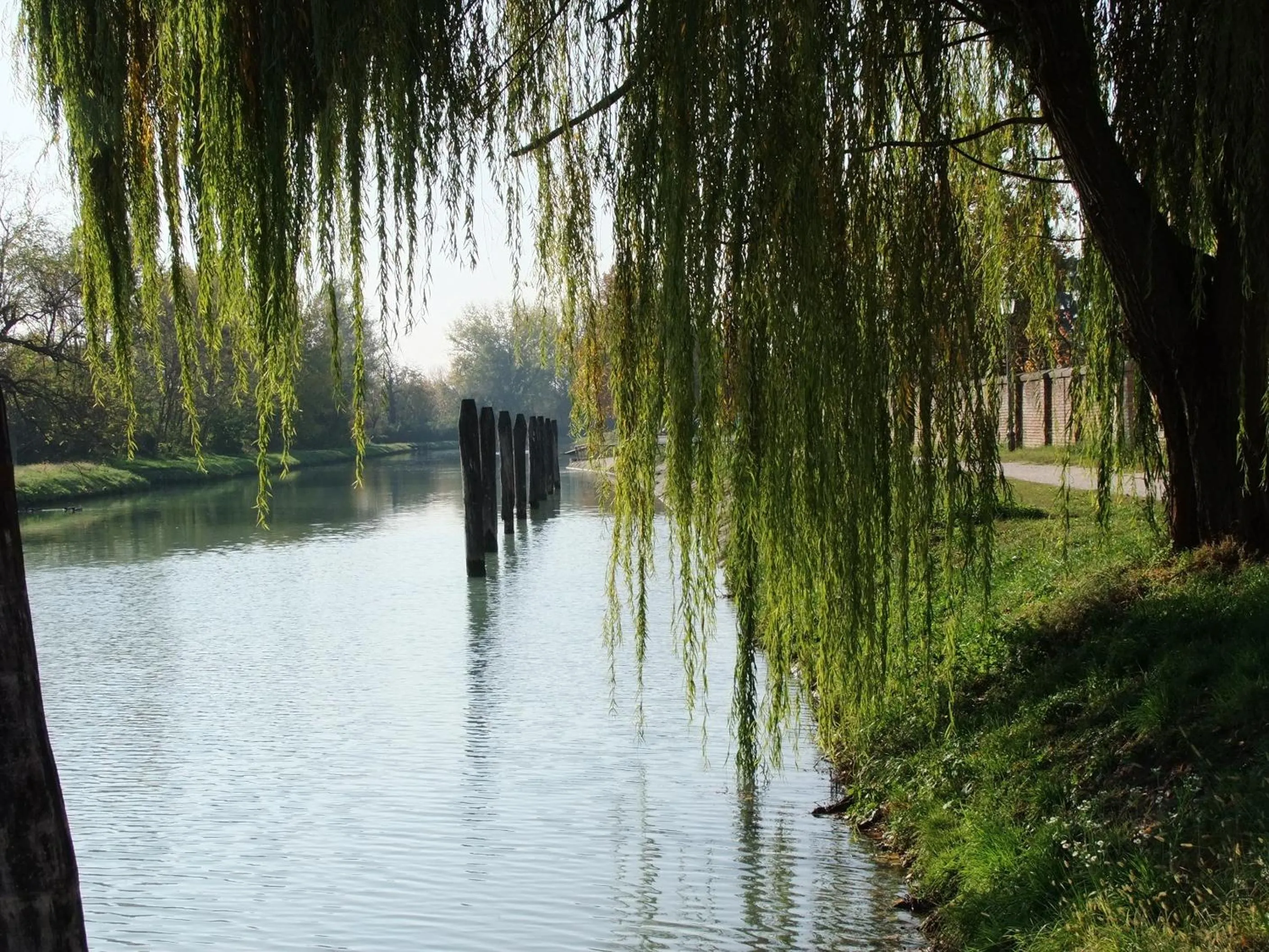 Natural landscape in Relais Alcova del Doge