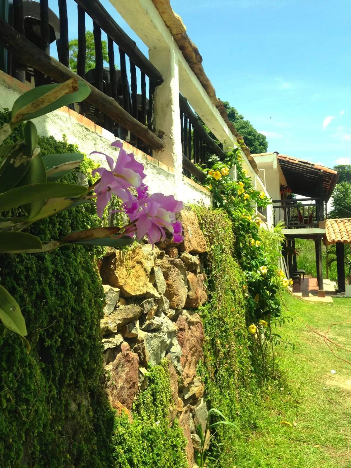 Garden in Hotel Terrazas de la Candelaria