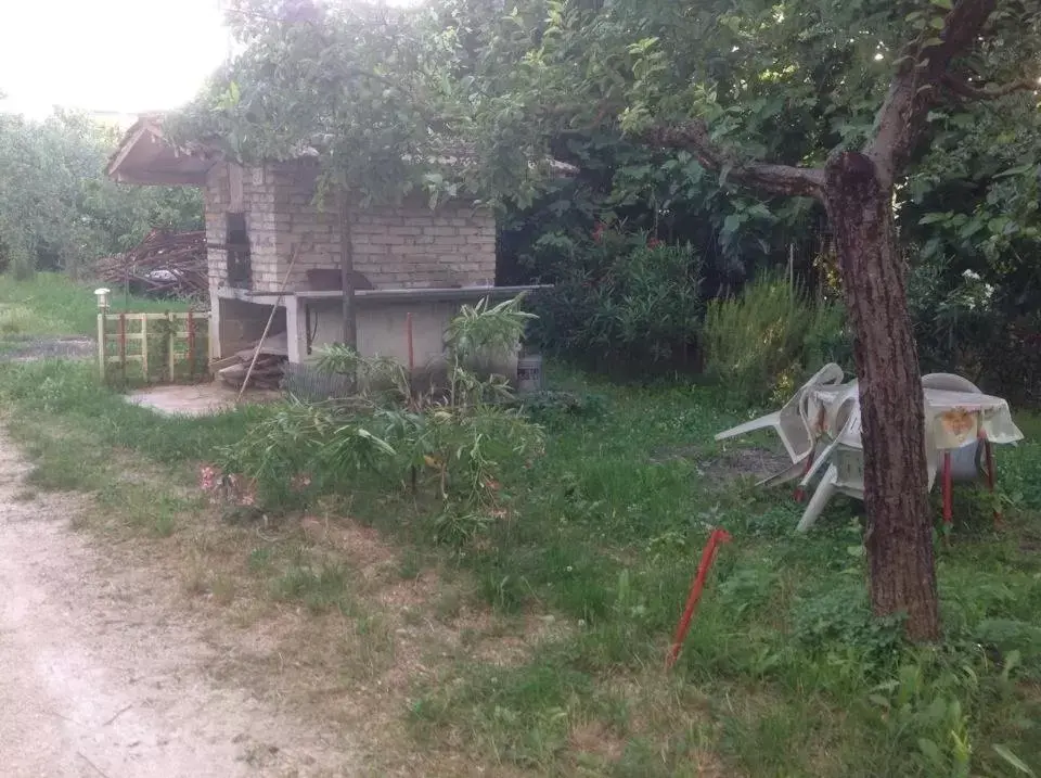 Patio, Property Building in Il Giardino del Gallo