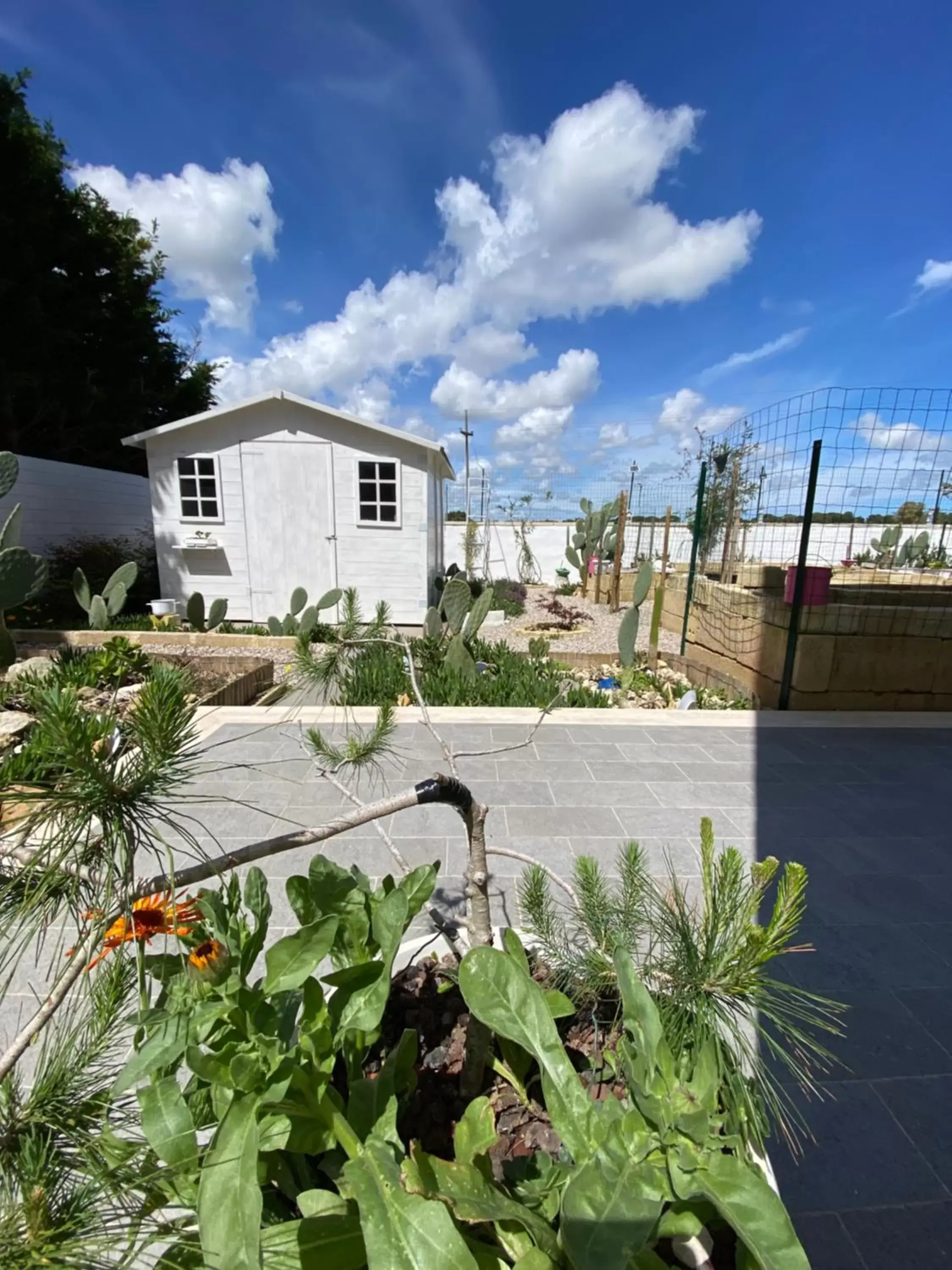 Garden, Property Building in La casa di Nina