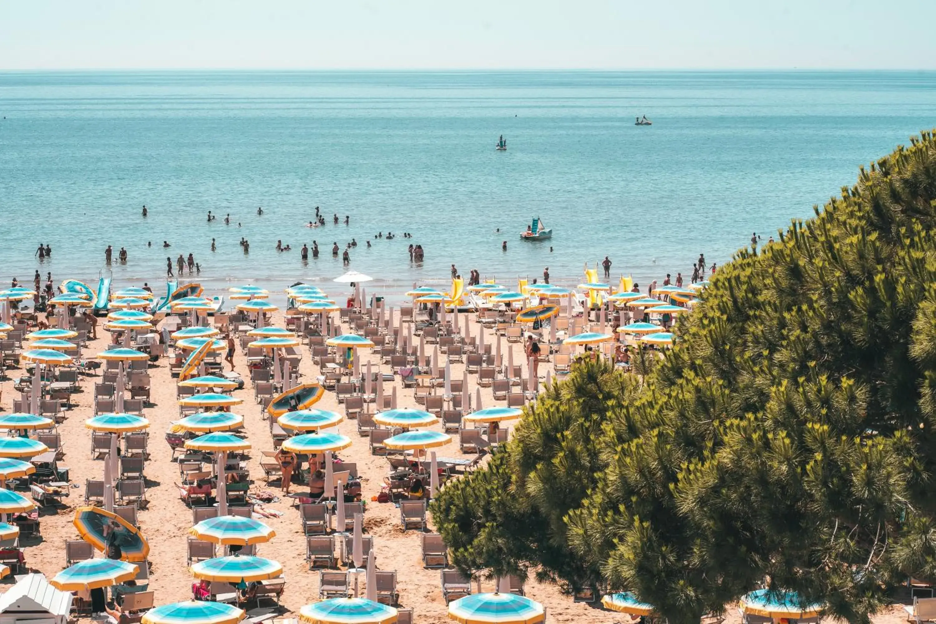 Sea view, Beach in Hotel Excelsior