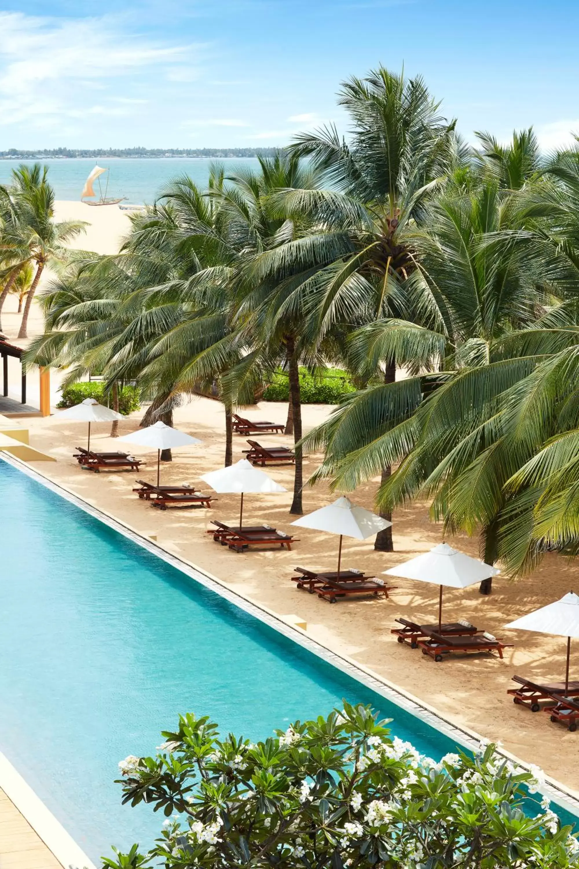 Swimming pool in Jetwing Beach Swimming pool in Jetwing Beach