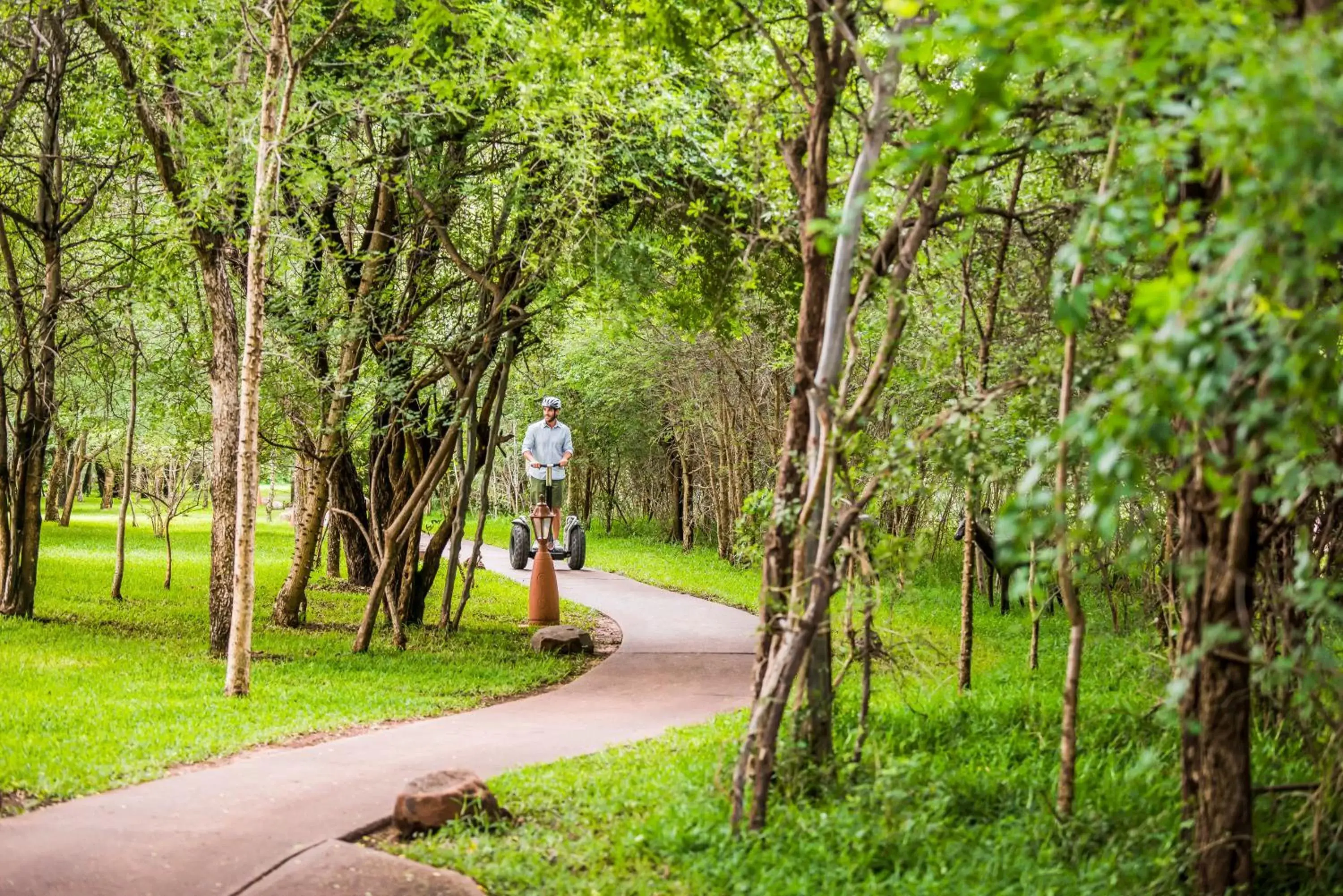 Garden in Avani Victoria Falls Resort