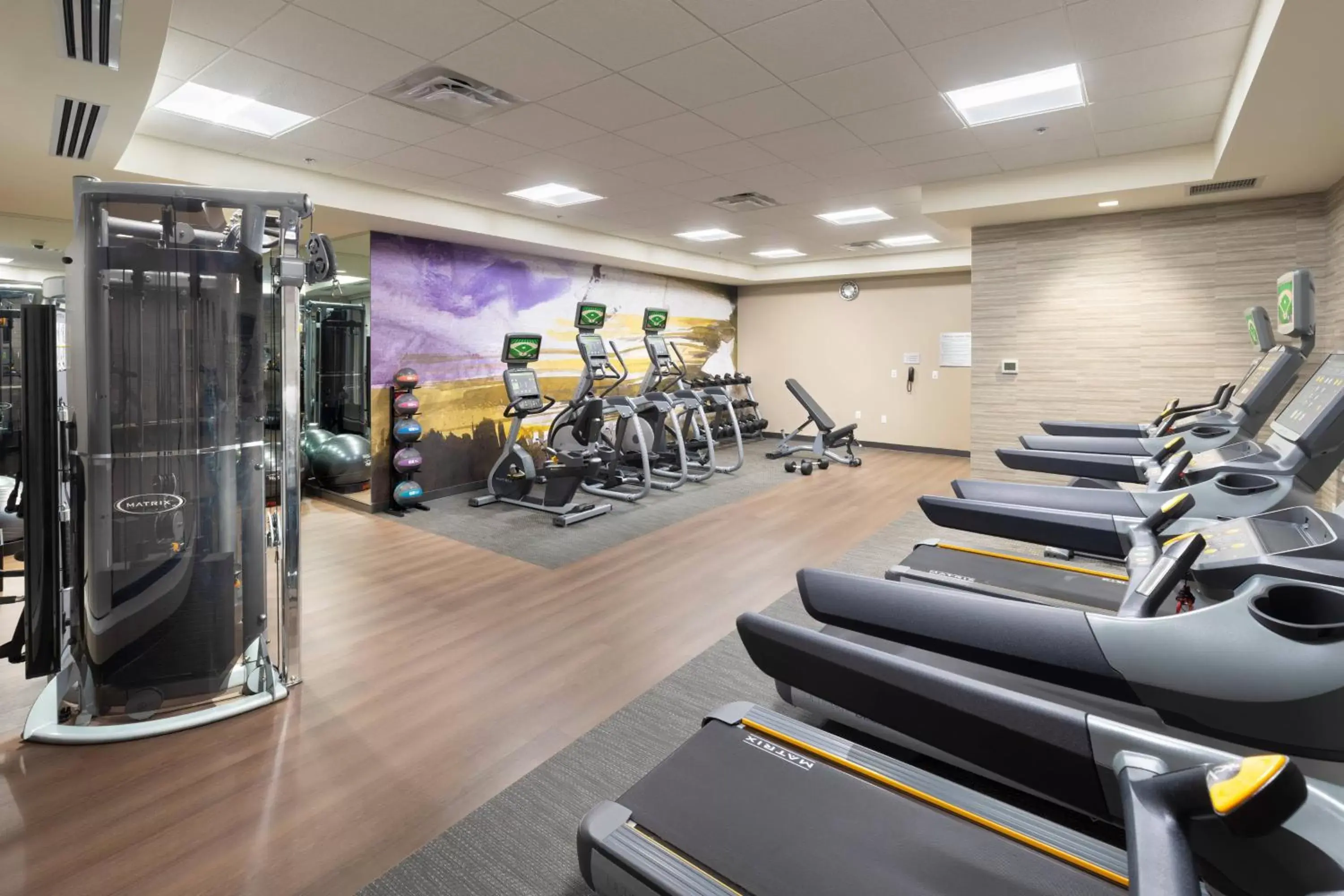 Fitness centre/facilities, Fitness Center/Facilities in Courtyard by Marriott Bowie