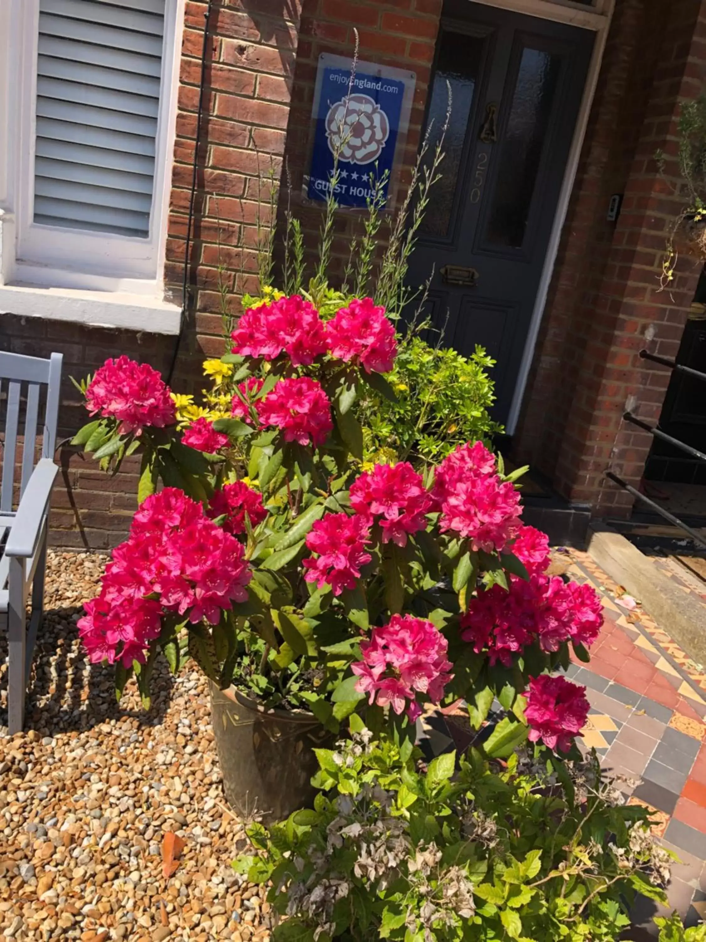 Garden view in Carena House