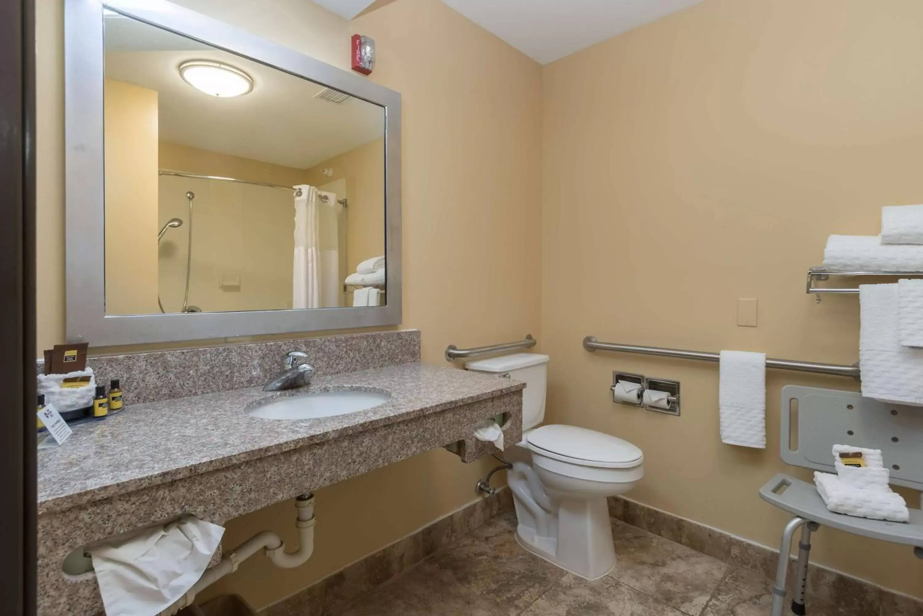 Bathroom in Best Western Plus Holland Inn & Suites