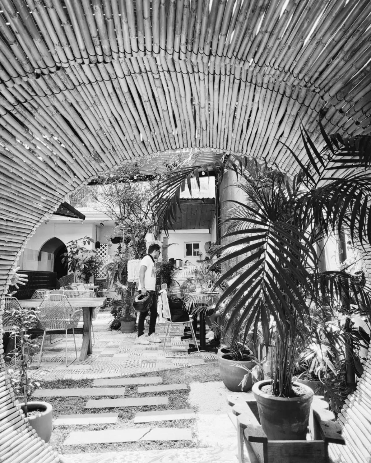 Restaurant/Places to Eat in Hostal Hoja Santa