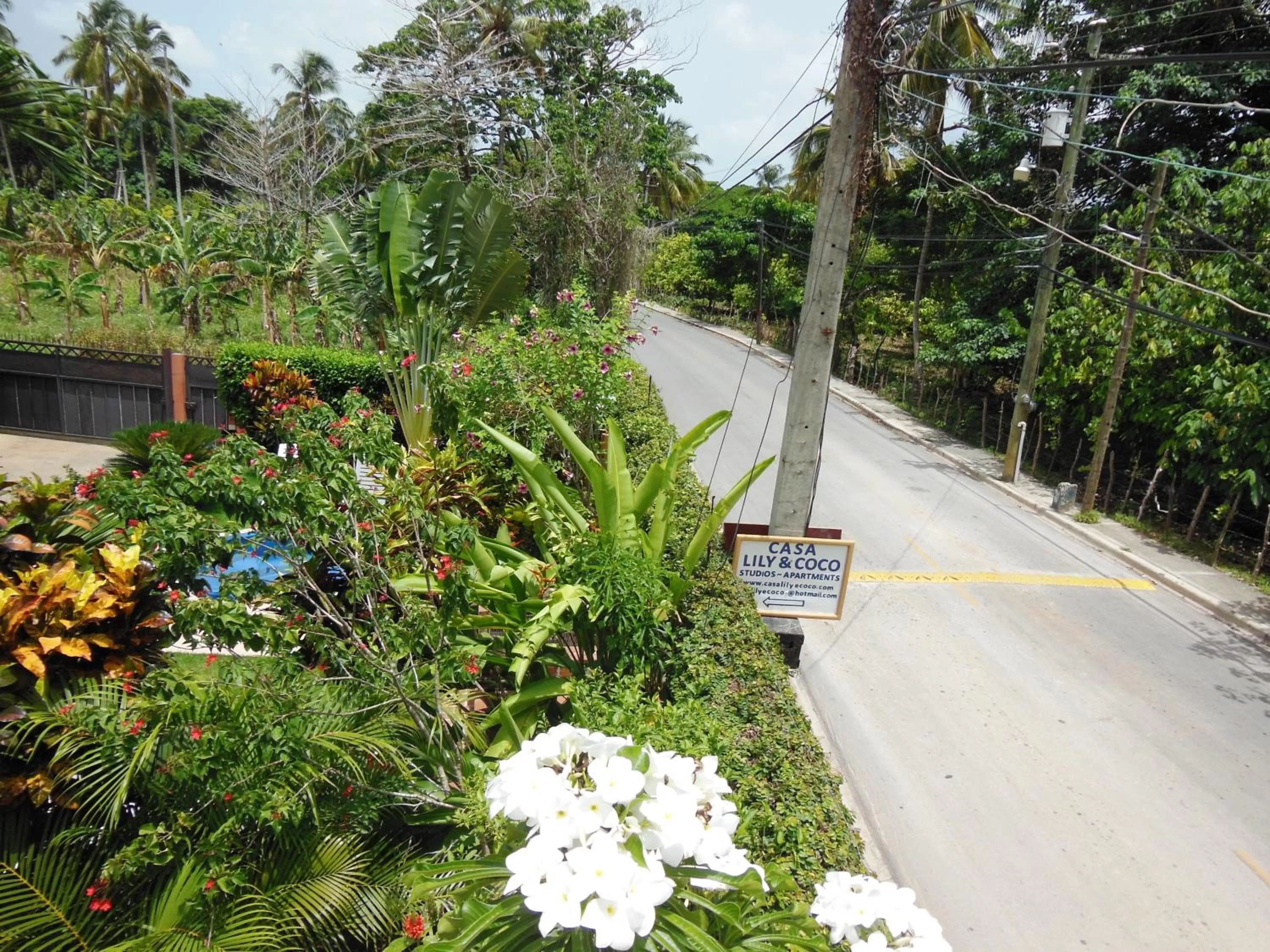 Street view in Casa Lily & Coco