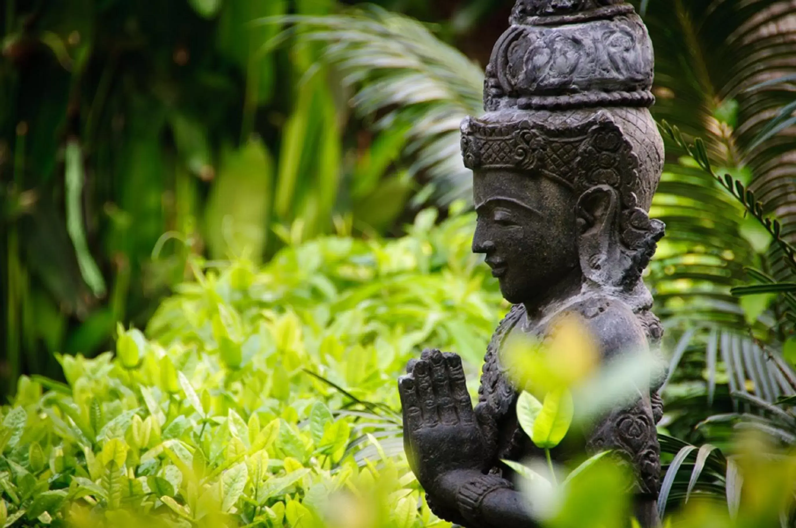 Garden, Other Animals in Bali Garden Beach Resort