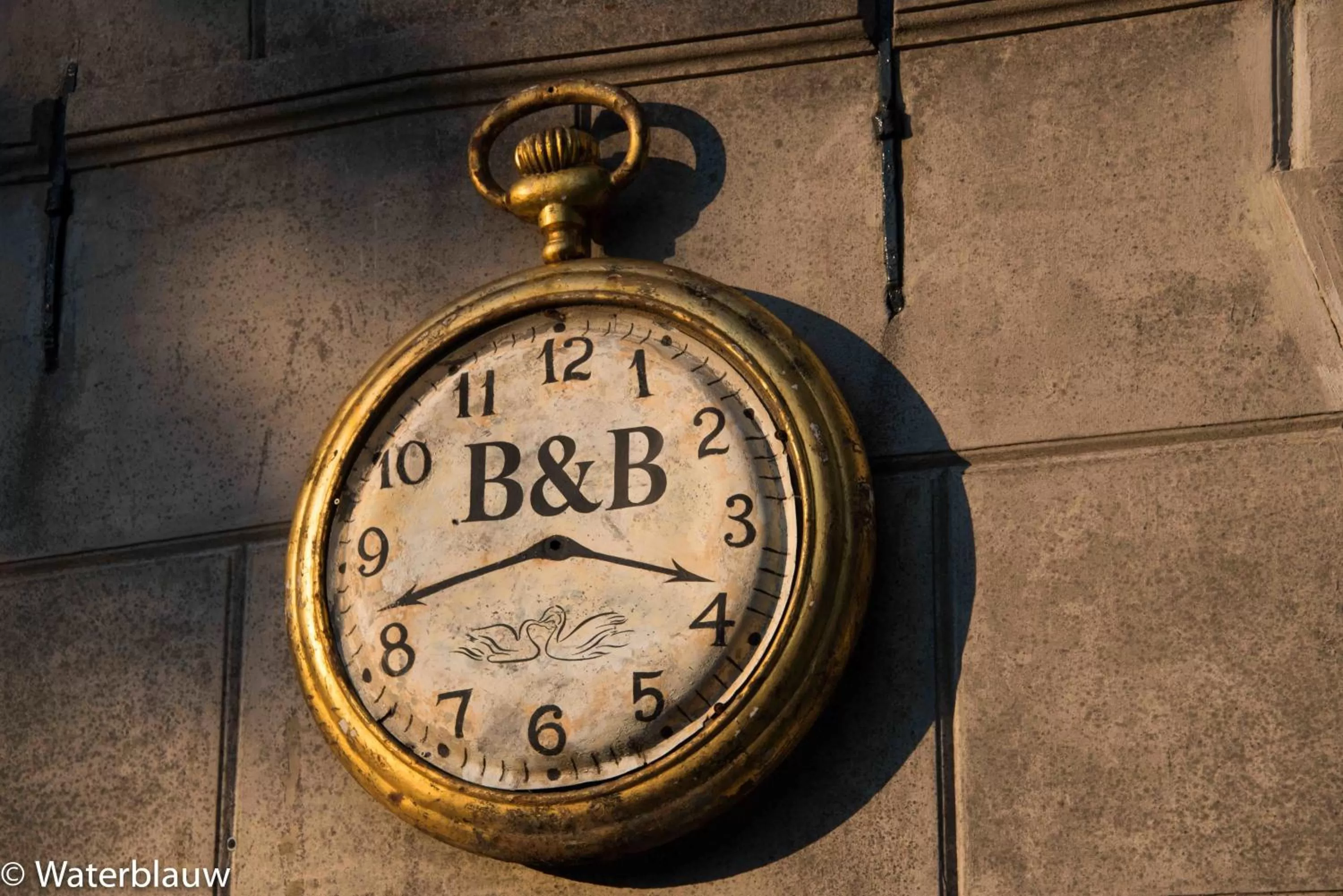 Decorative detail in Logement Swaenenvecht