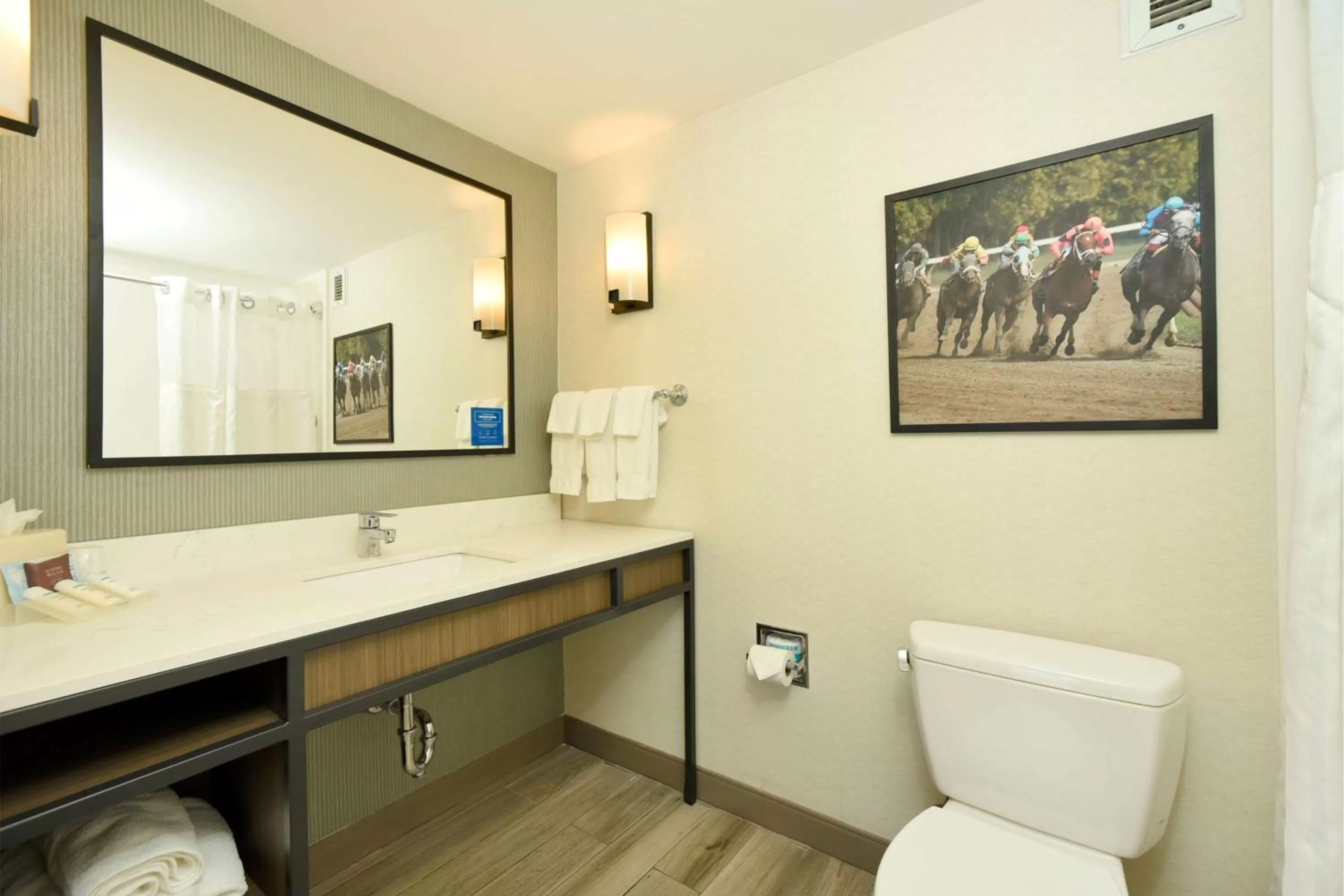 Bathroom in Hilton Garden Inn Saratoga Springs