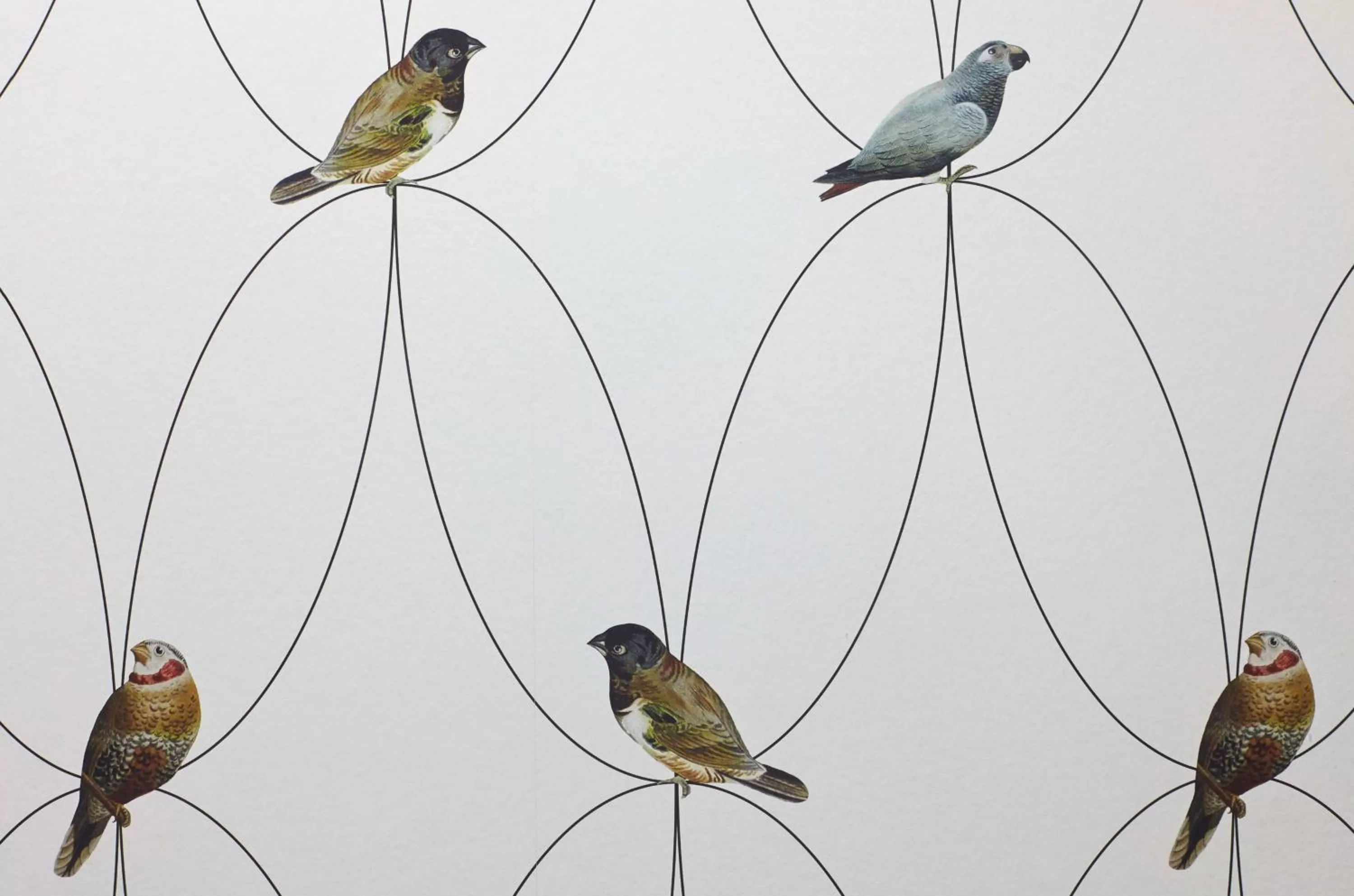 Other in Radisson Blu Hotel East Midlands Airport