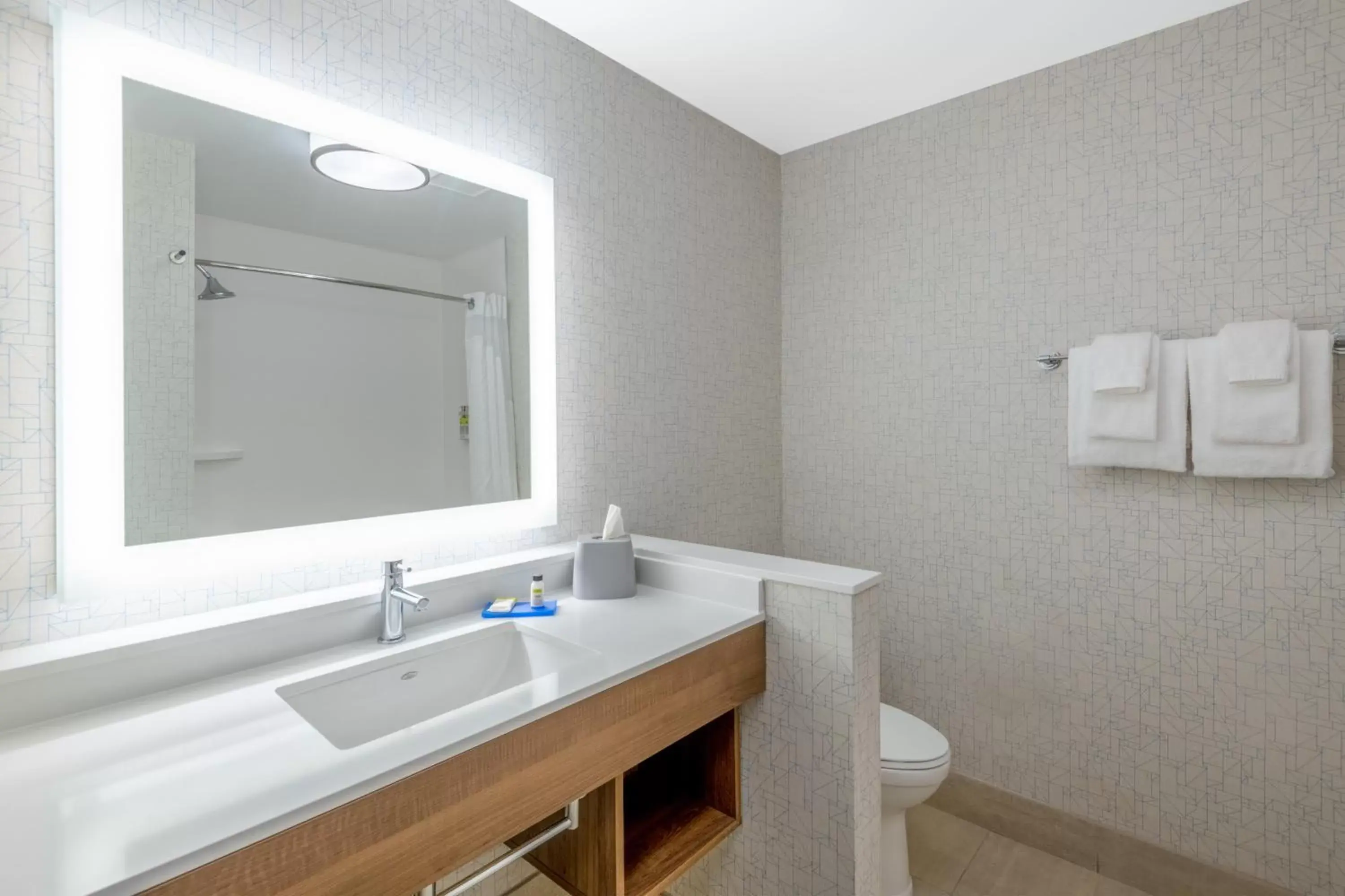 Bathroom in Holiday Inn Express & Suites - Phoenix - Airport North, an IHG Hotel