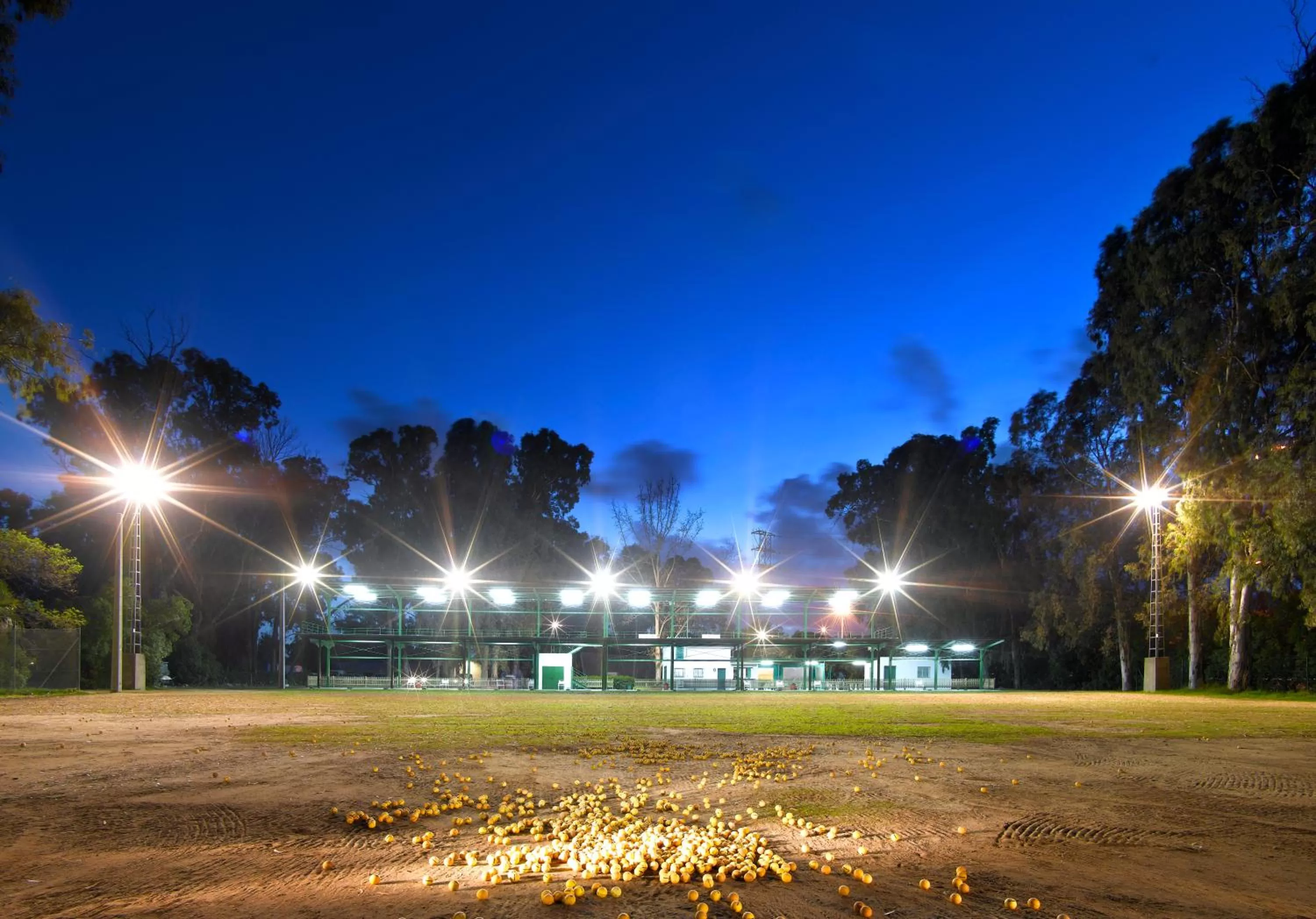 Golfcourse in Parador de Málaga Golf