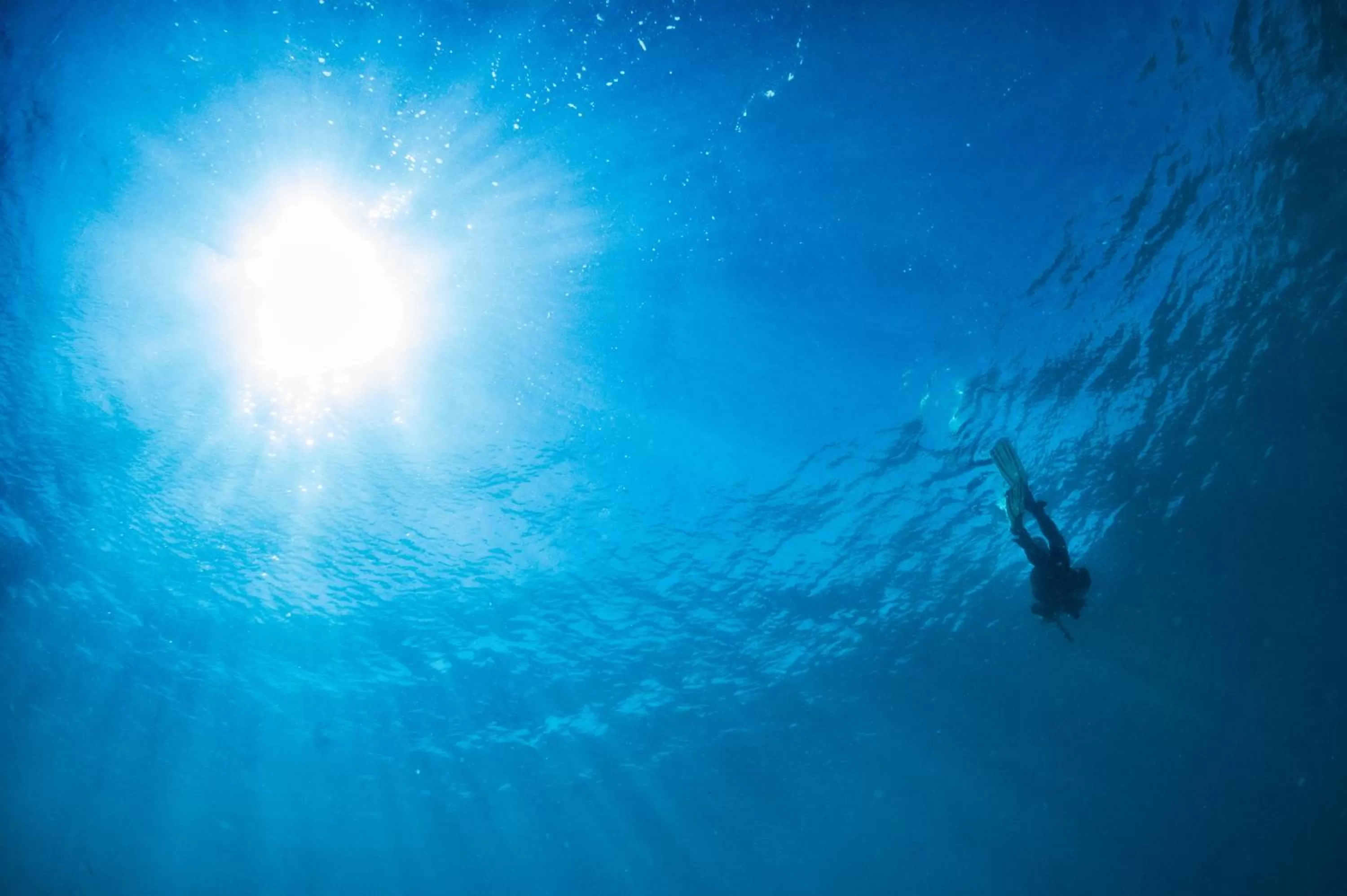Snorkeling in Coral Sun Beach